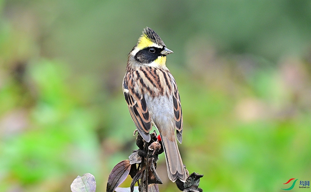 DSC_0317.JPG