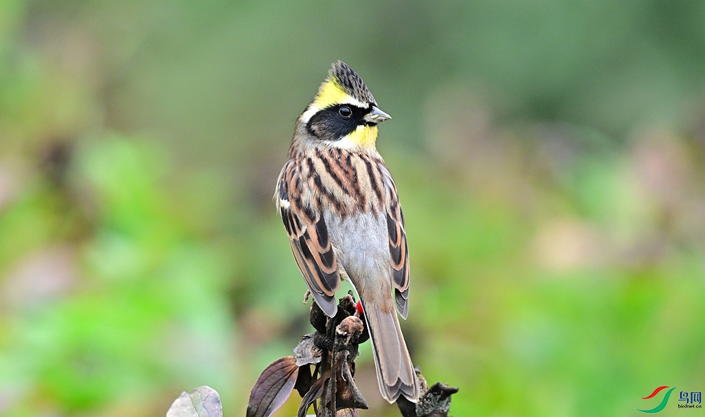 DSC_0324.JPG