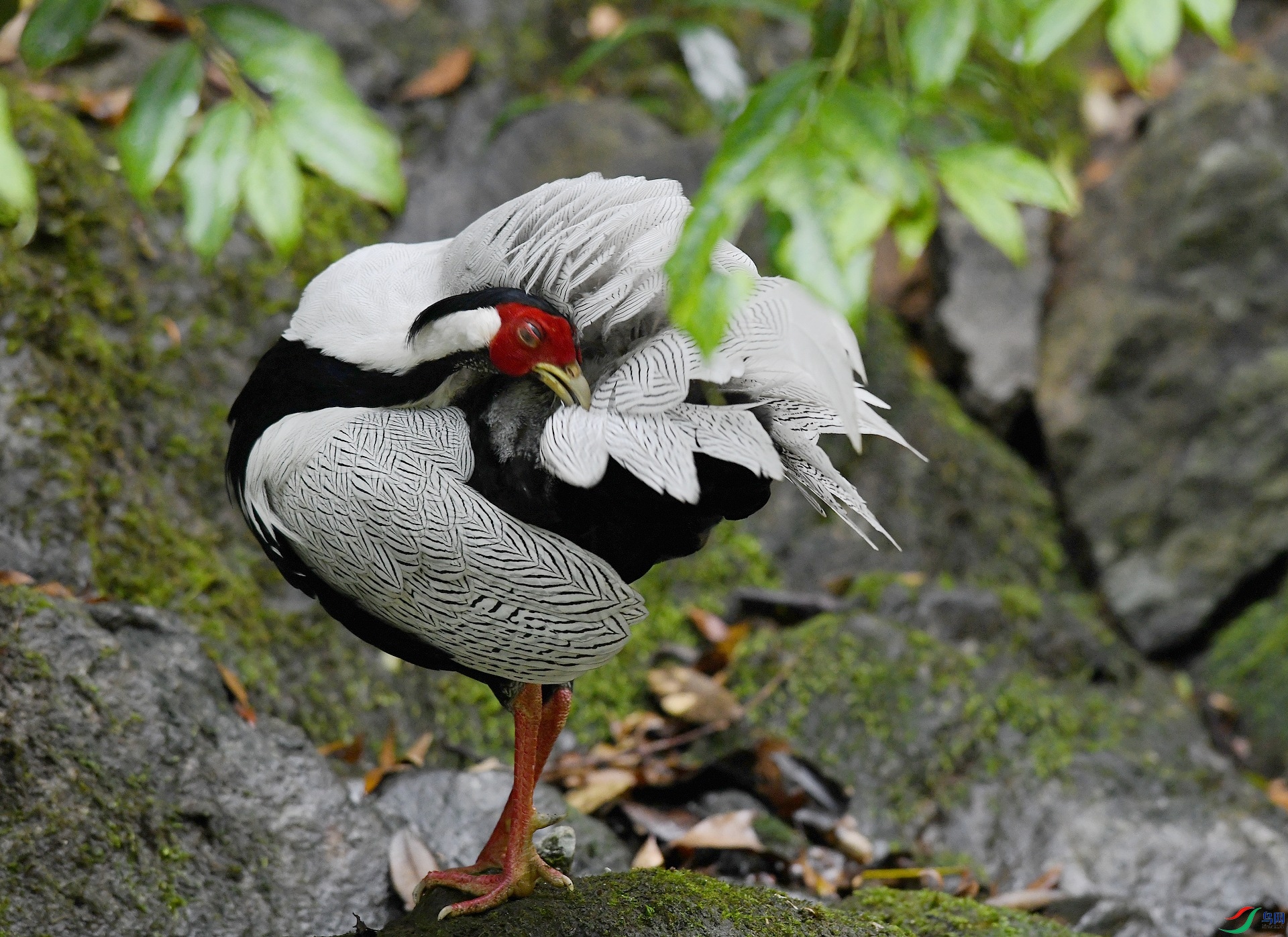 DSC_0797.jpg