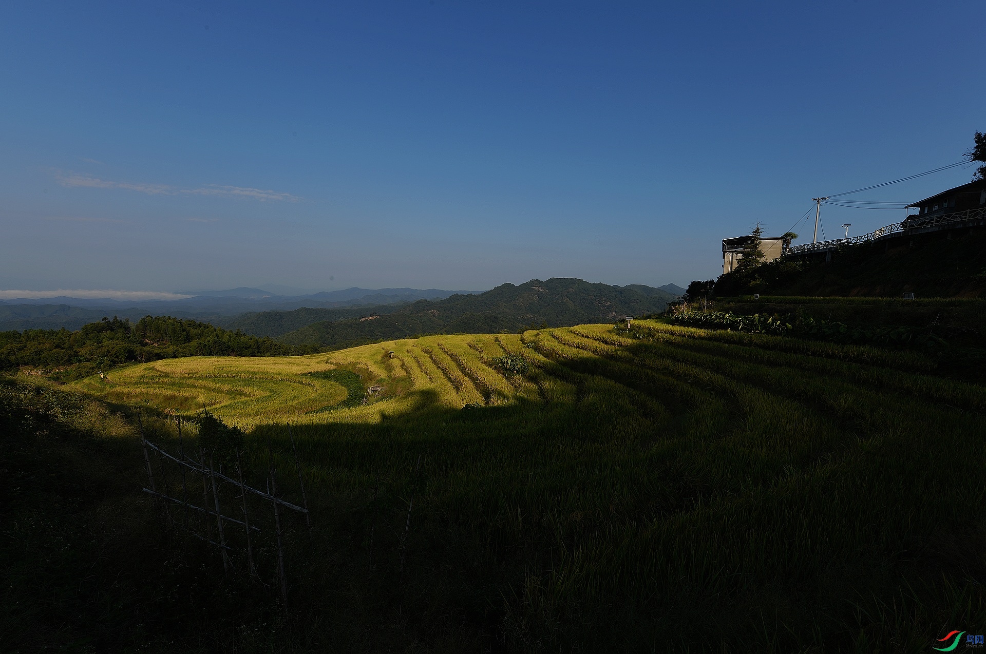 DSC_2709.jpg