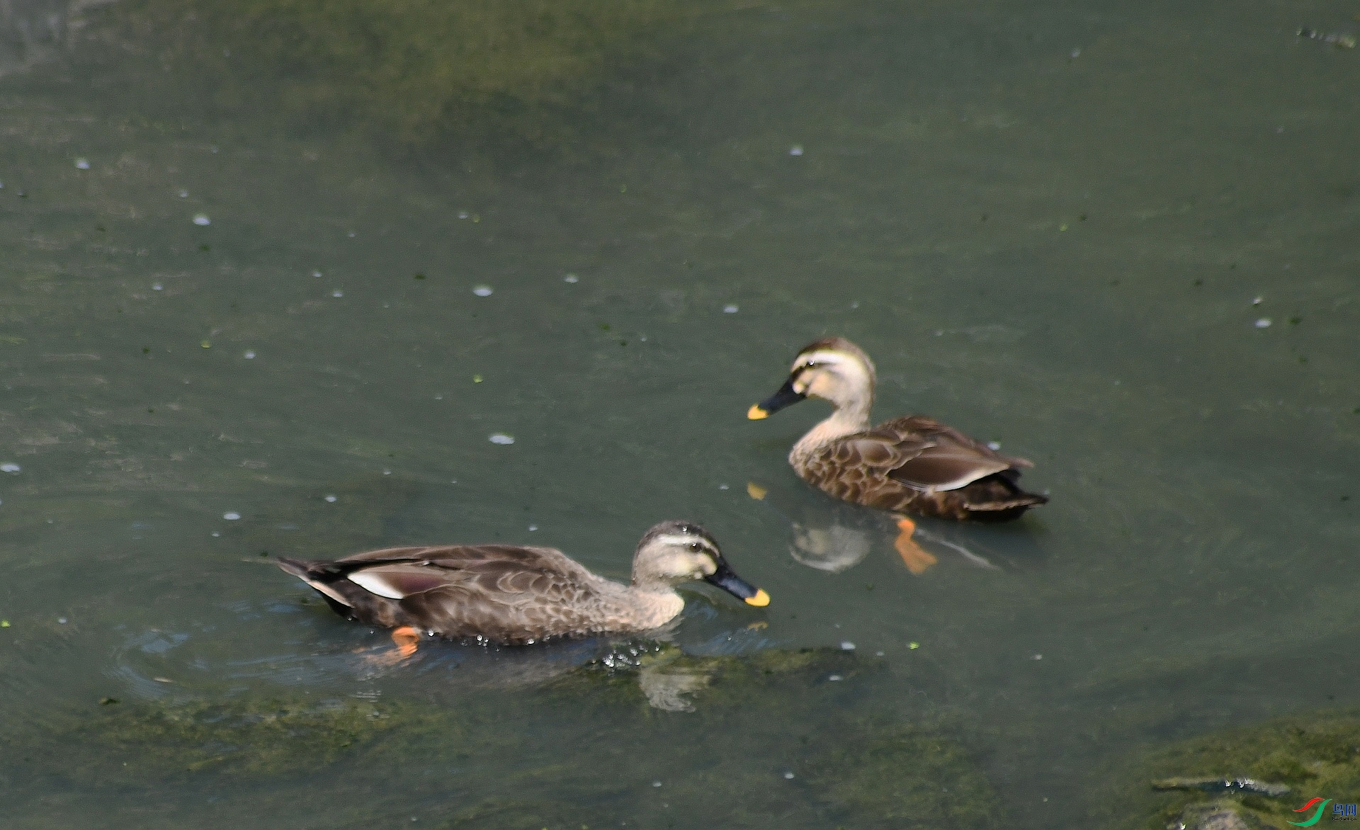 DSC_3277.jpg