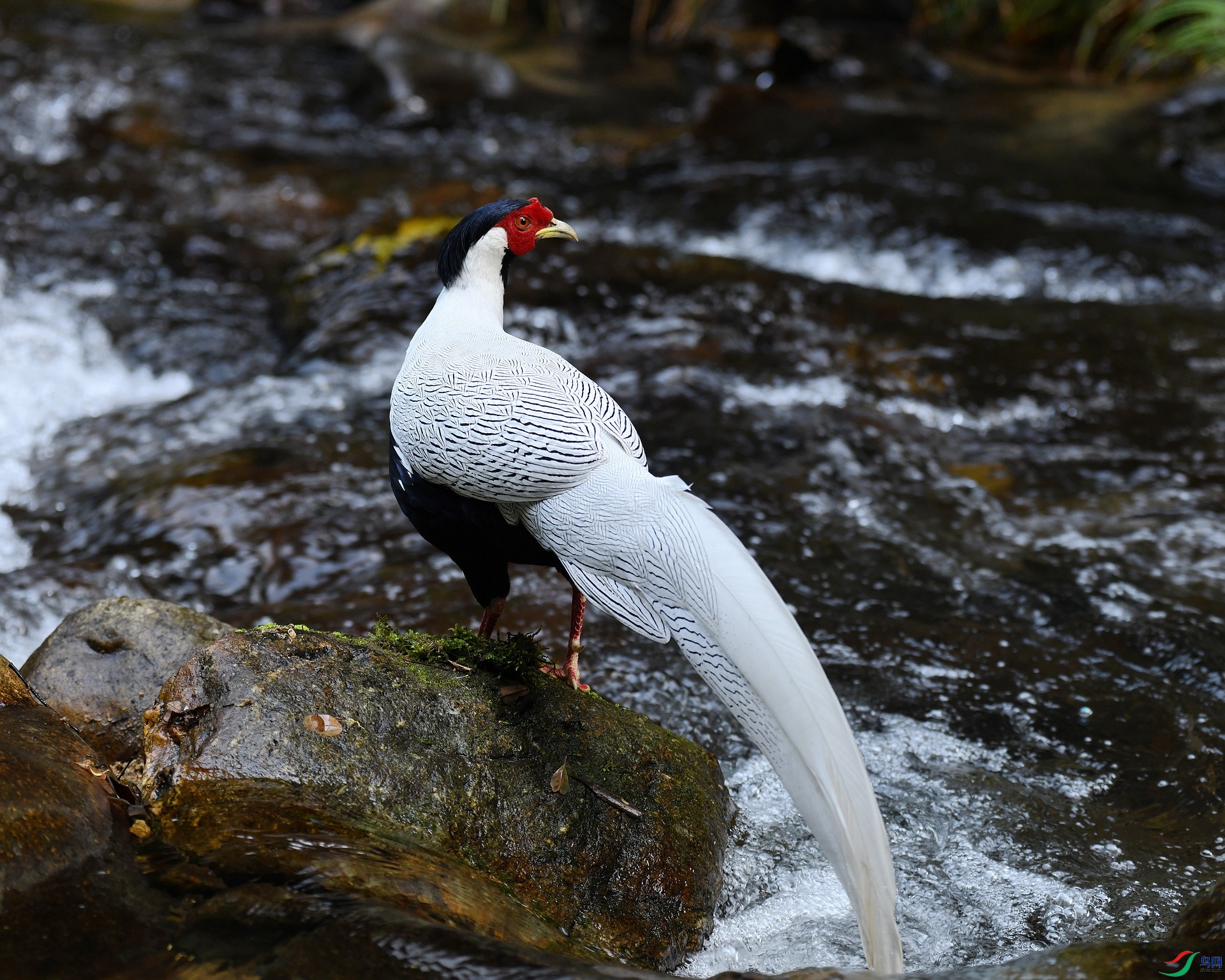 DSC_3756.jpg
