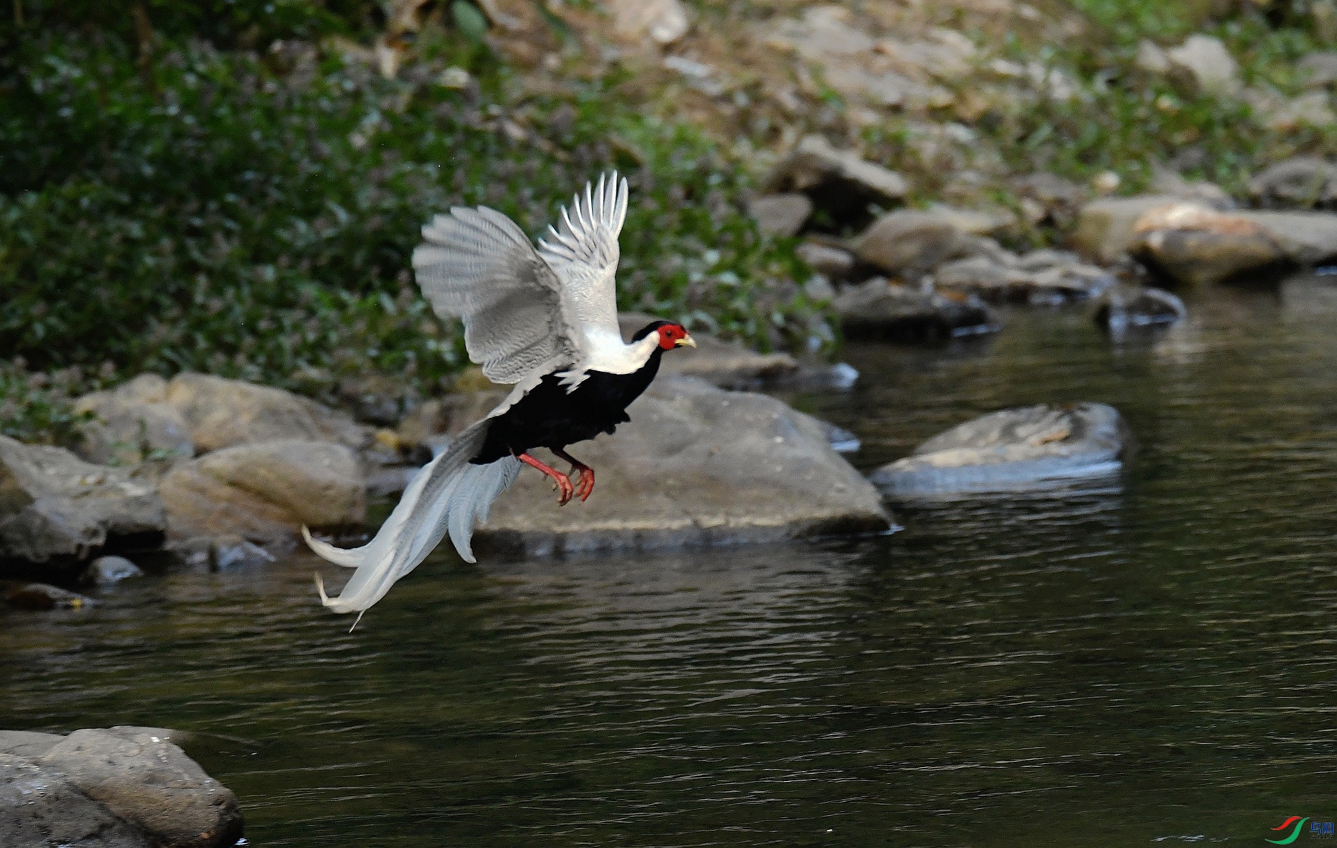 DSC_4359.jpg