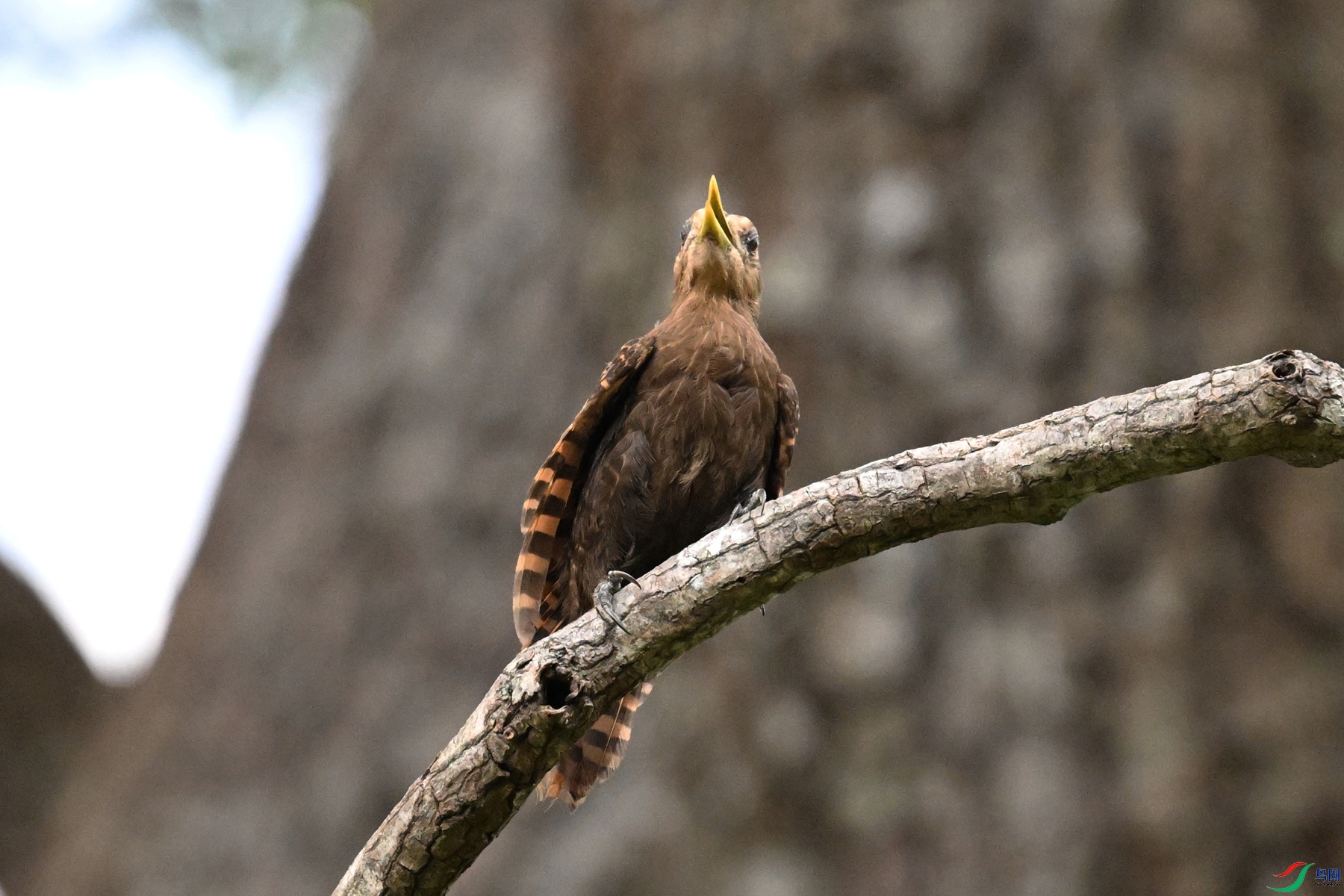 DSC_9404.JPG