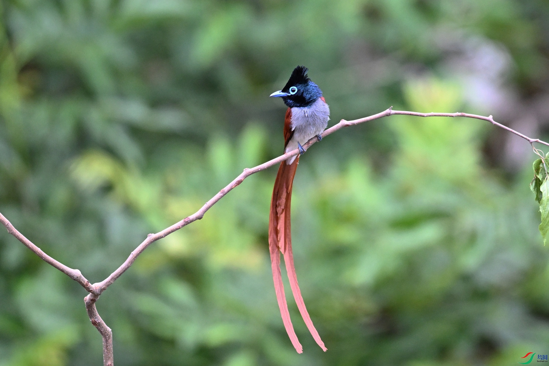 DSC_6309.JPG