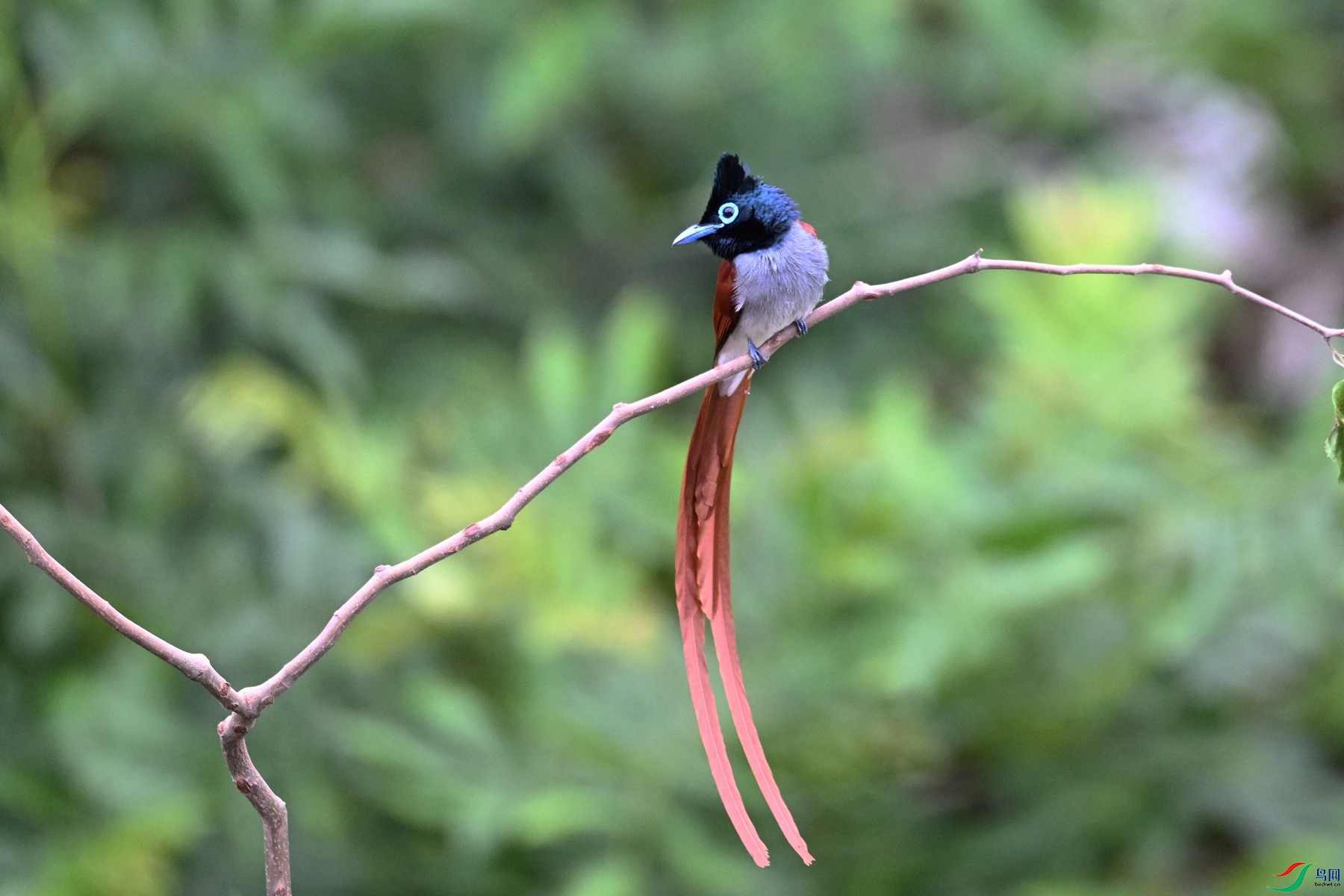 DSC_6311.JPG