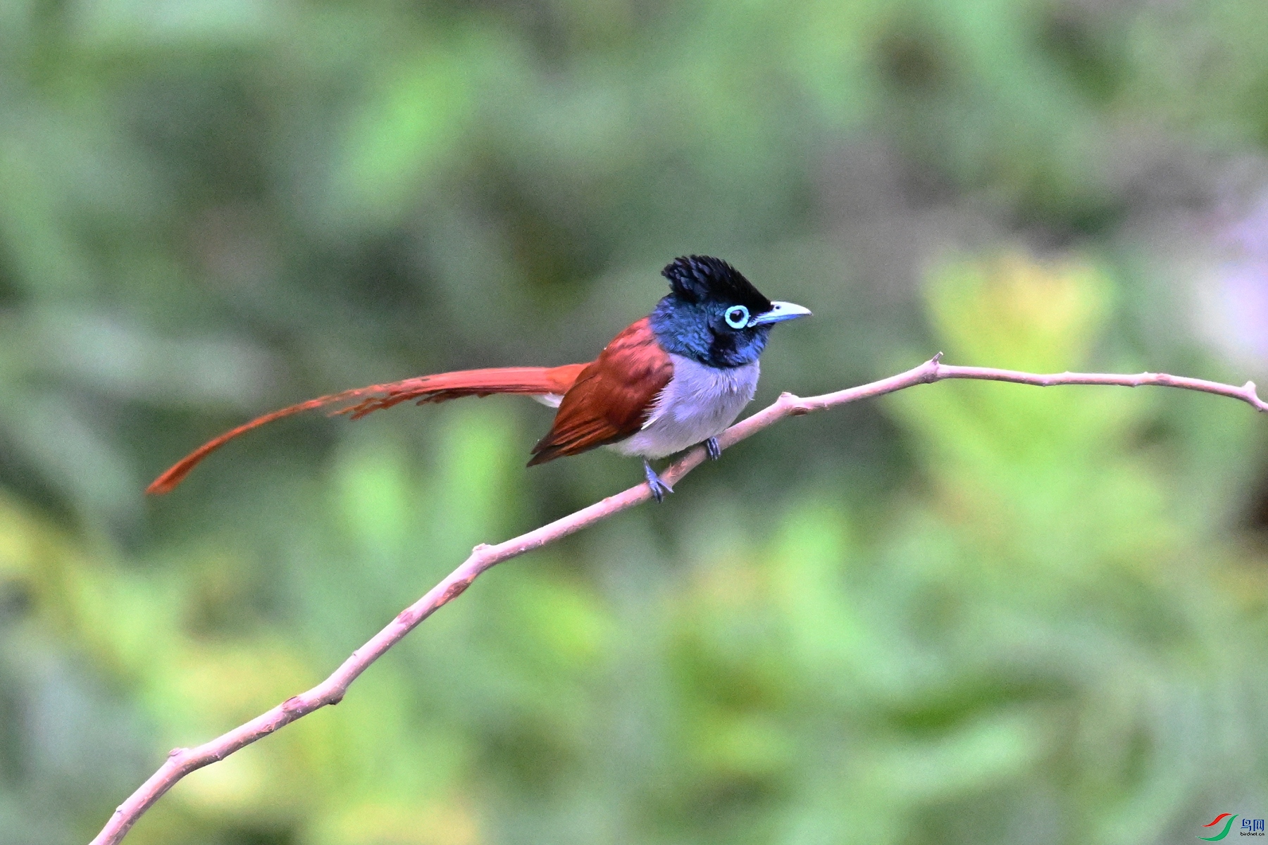 DSC_6295.JPG