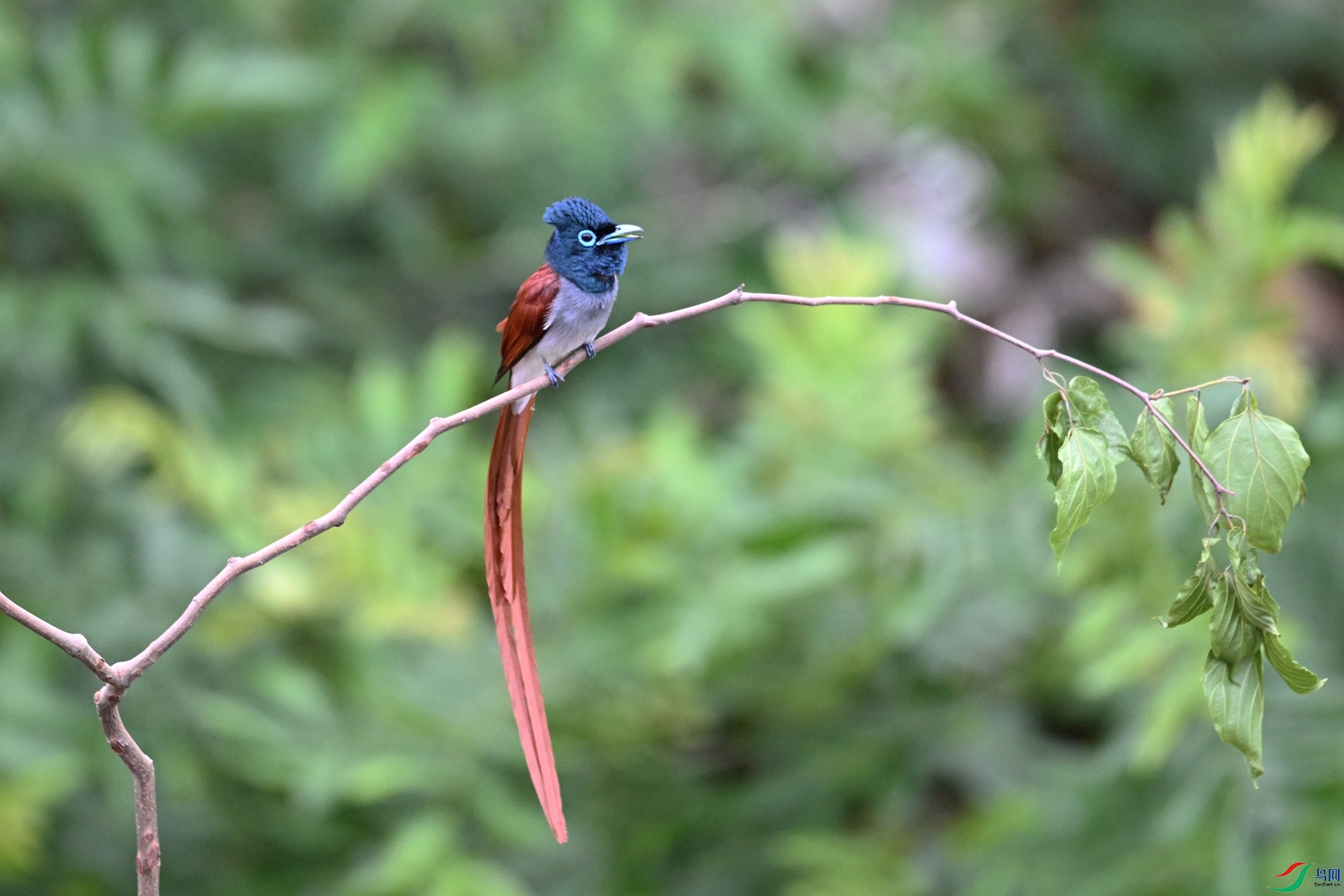 DSC_6301.JPG