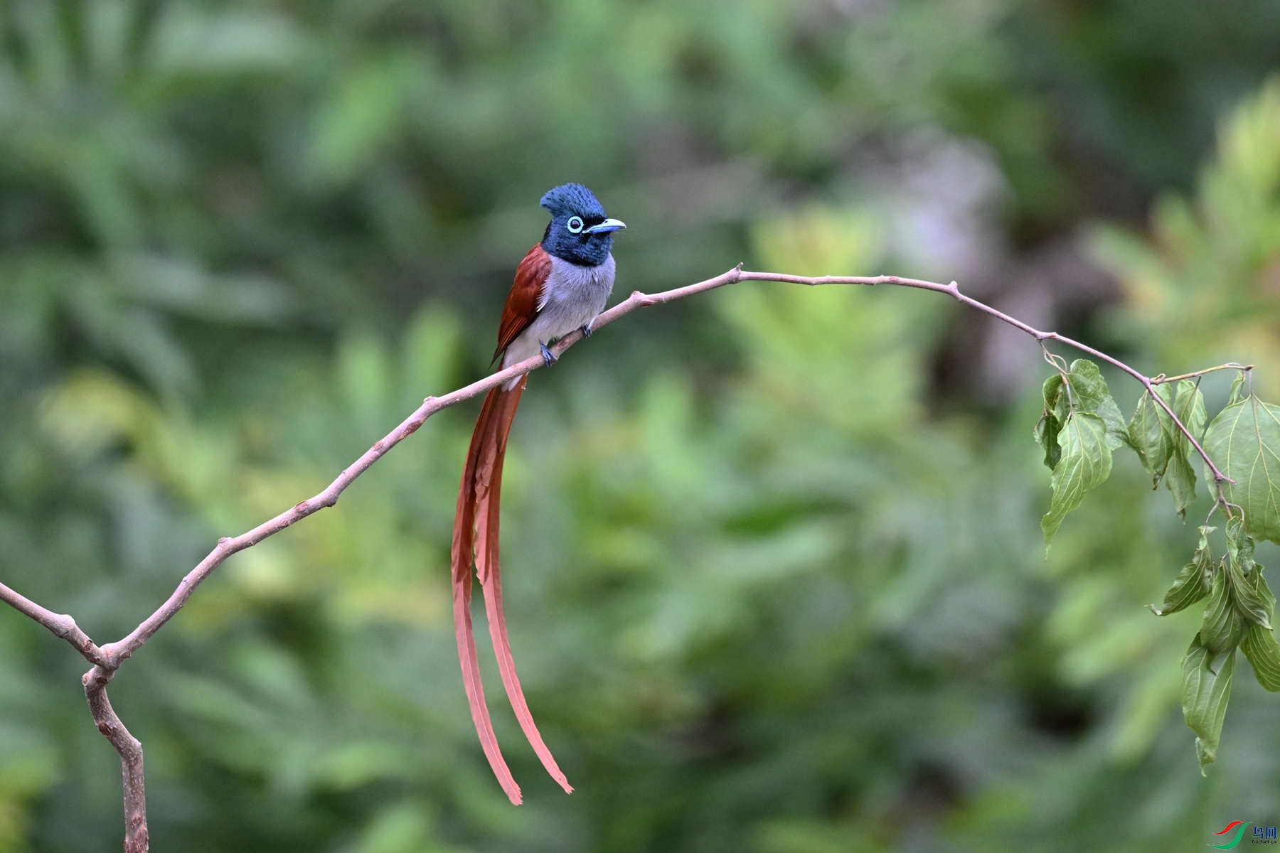 DSC_6317.JPG