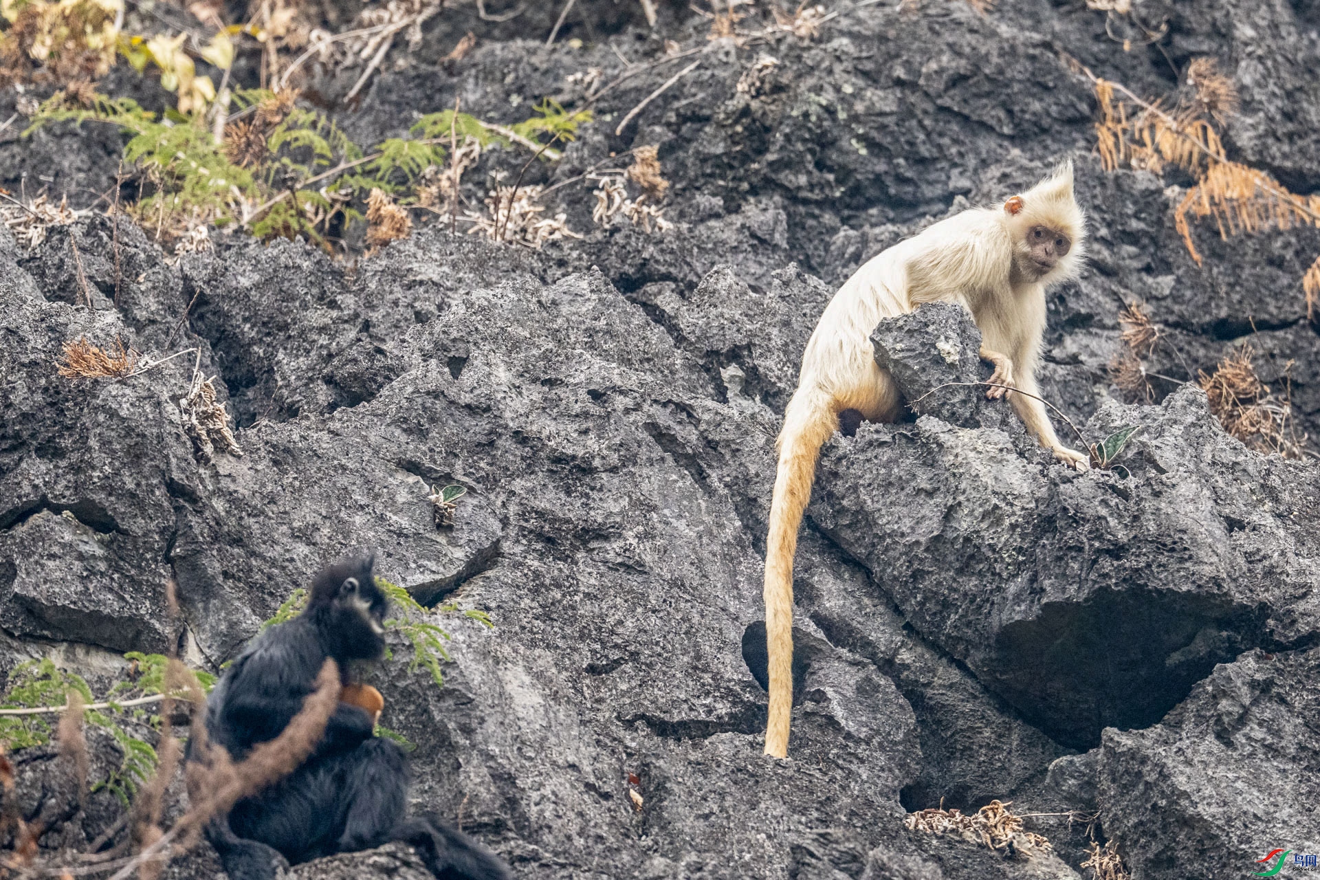 DSC05880.jpg   00001.jpg