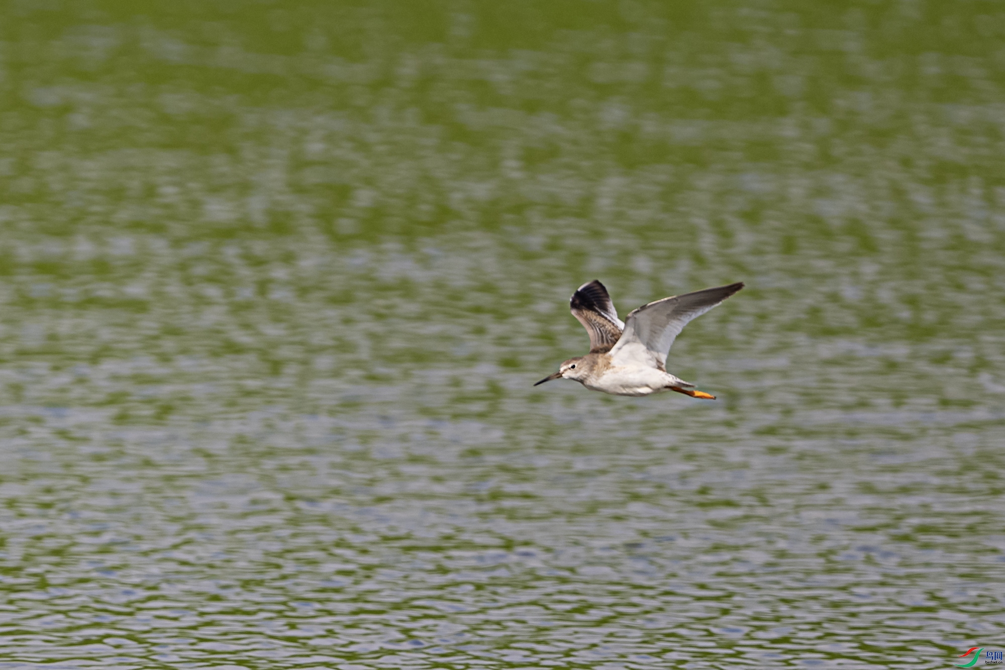 DSC_3847.jpg