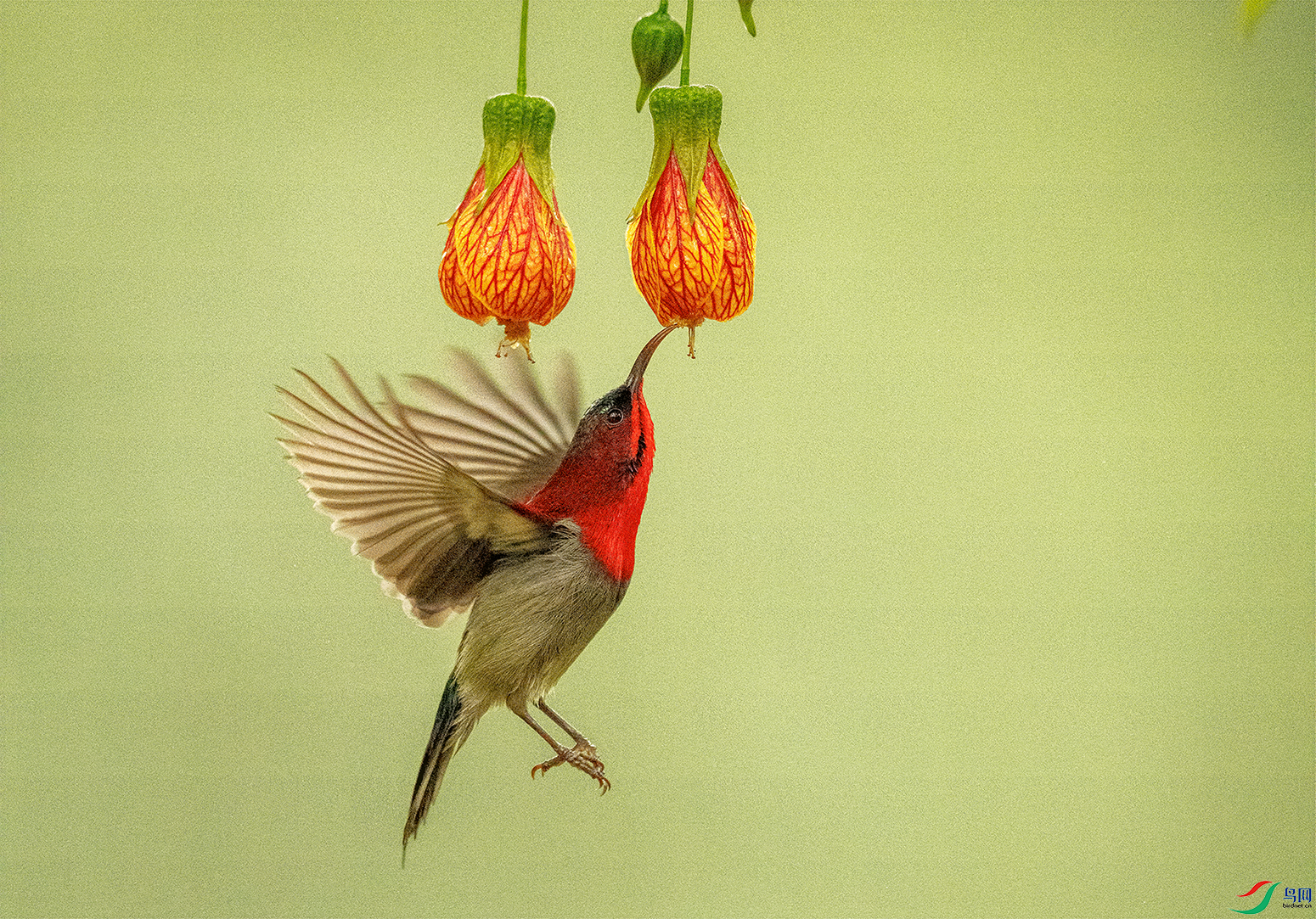 DSC05550.png    00001.png