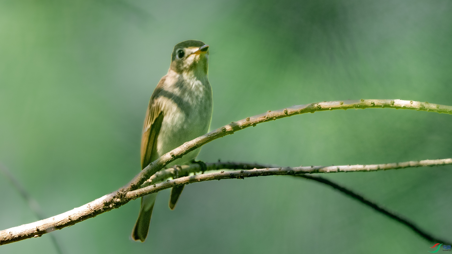 DSC_5090.jpg