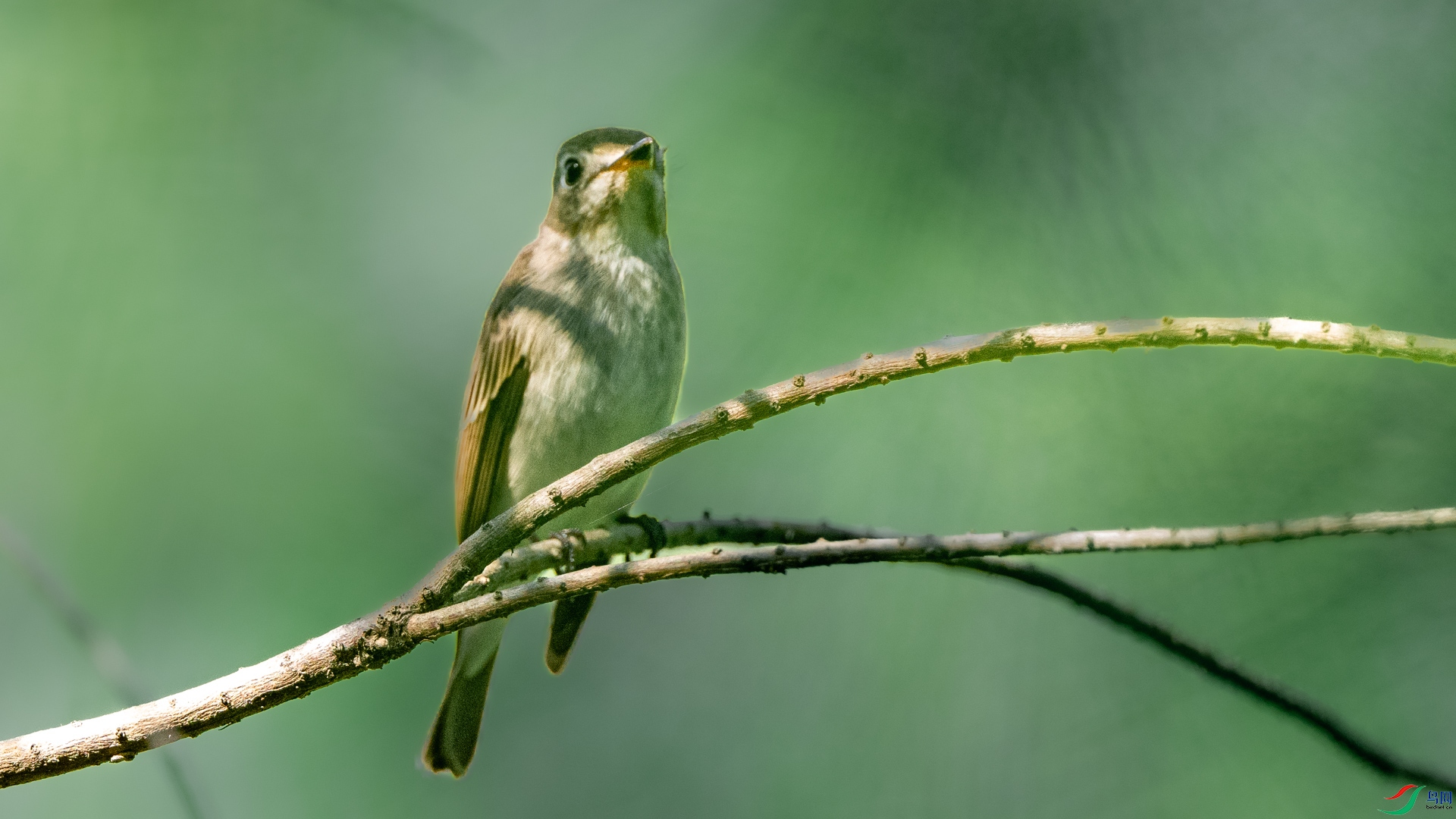 DSC_5091.jpg
