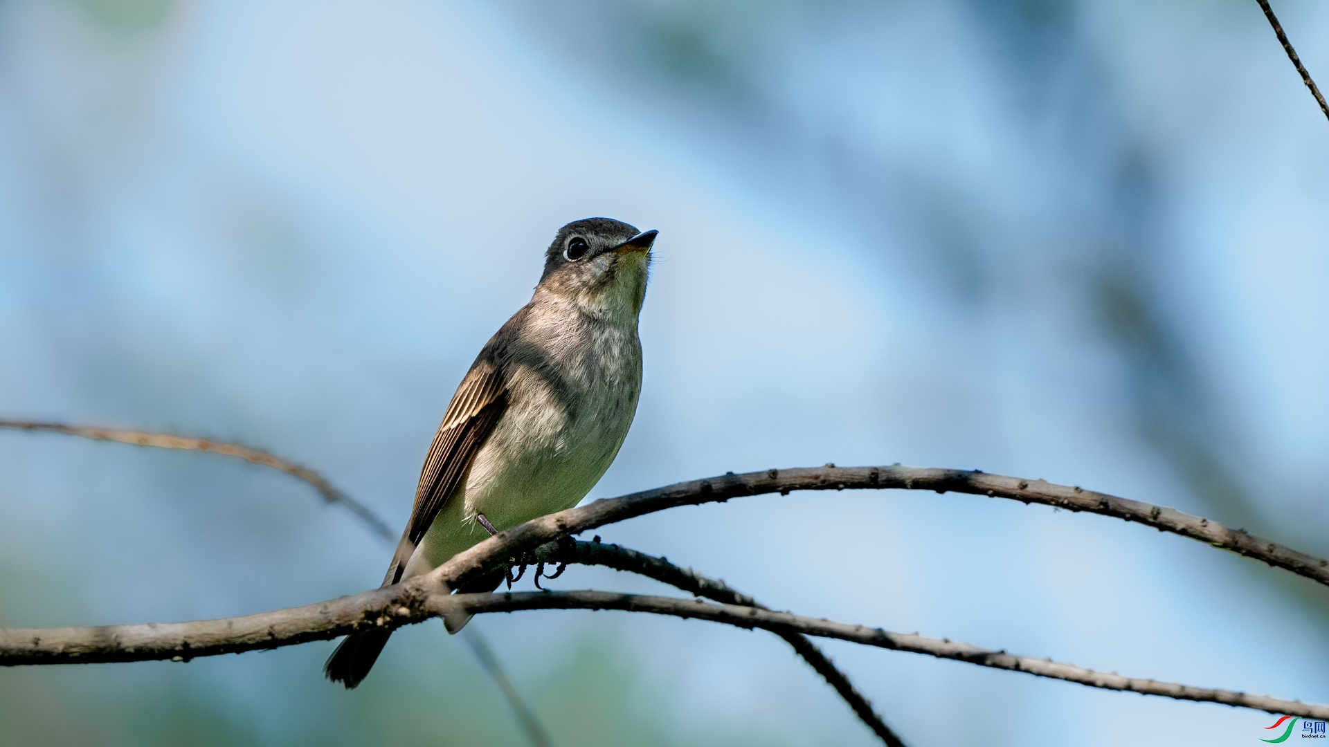 DSC_5098.jpg
