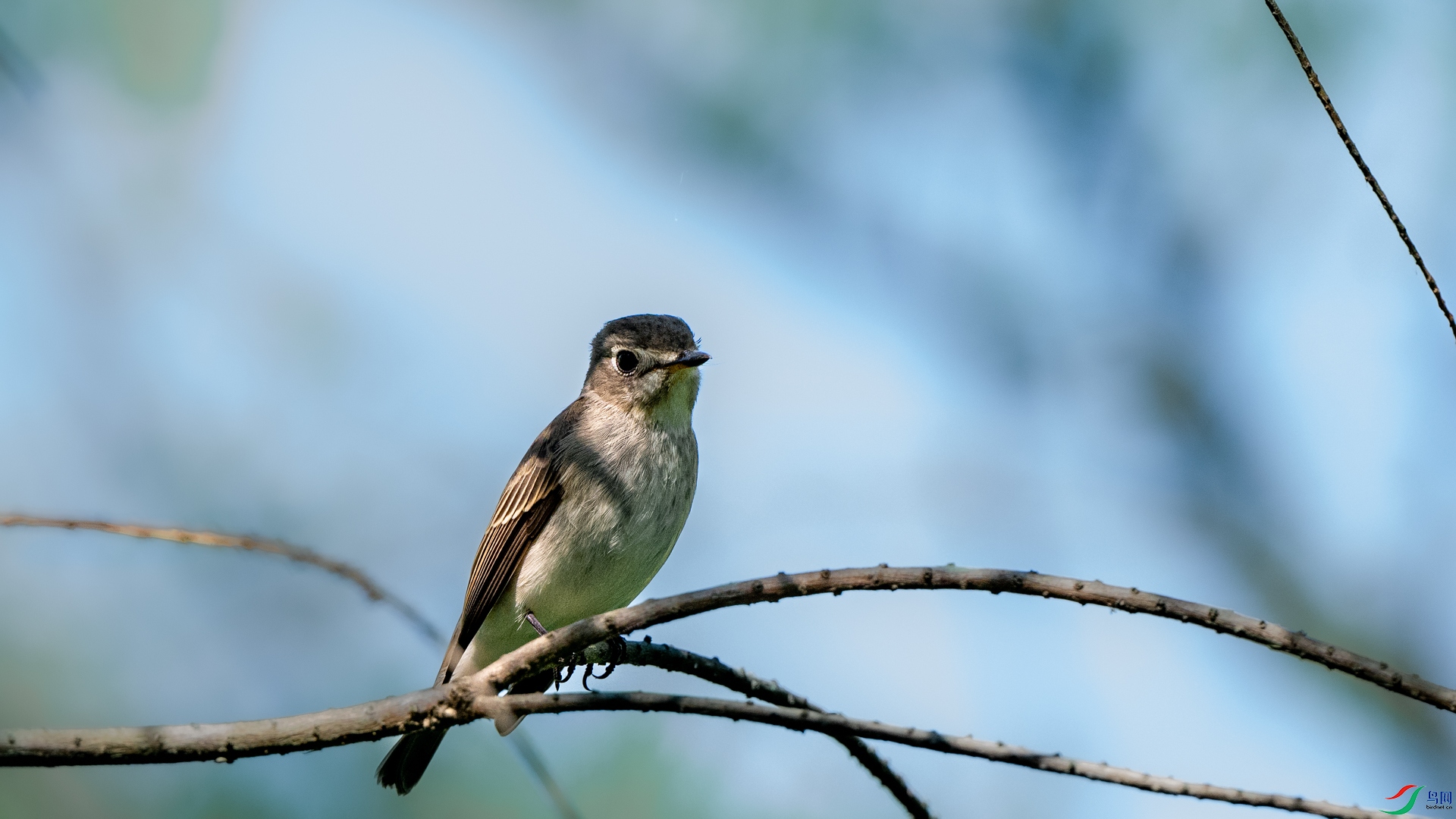 DSC_5100.jpg