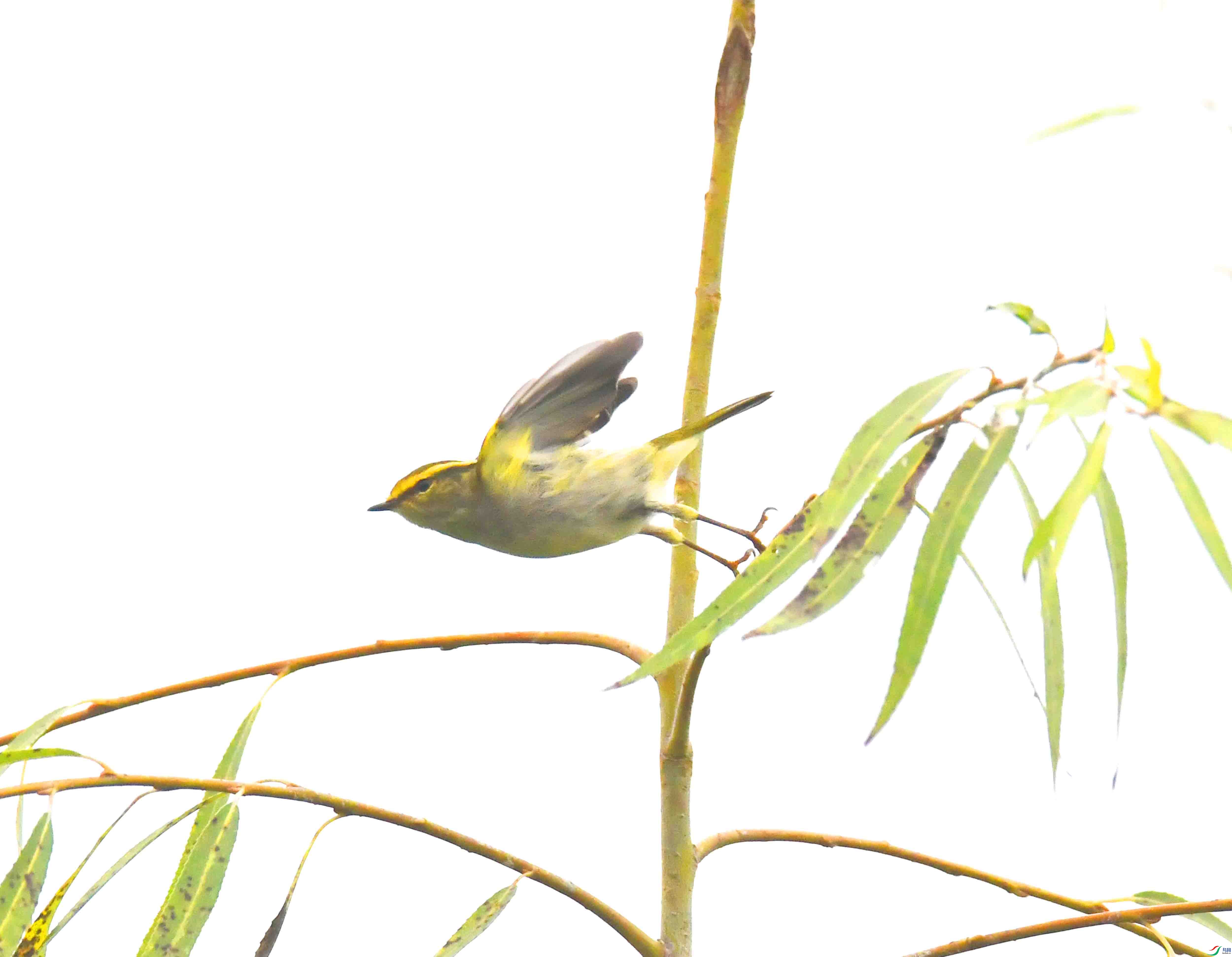 DSC_1206.JPG