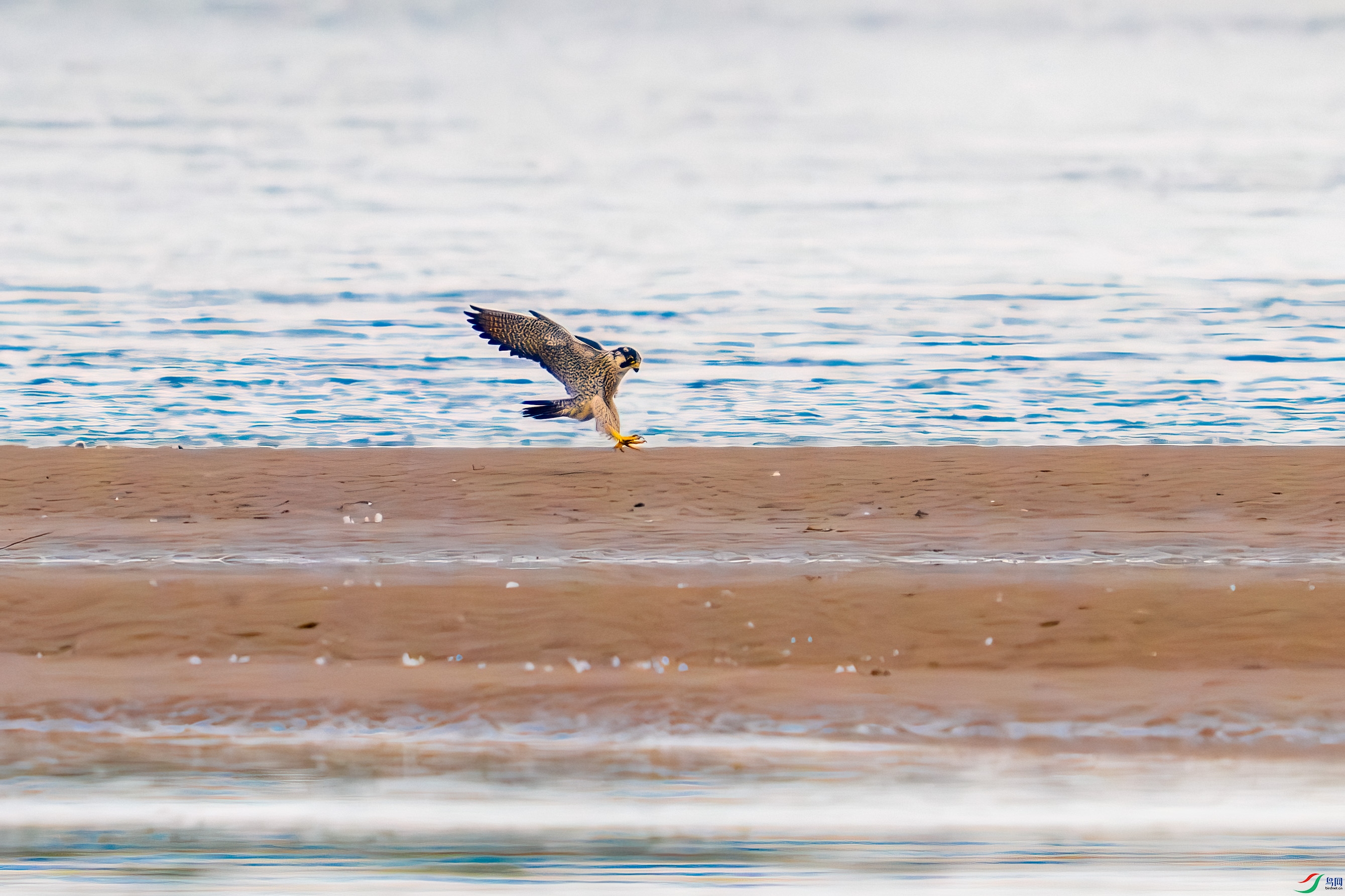 _DSC2813.jpg
