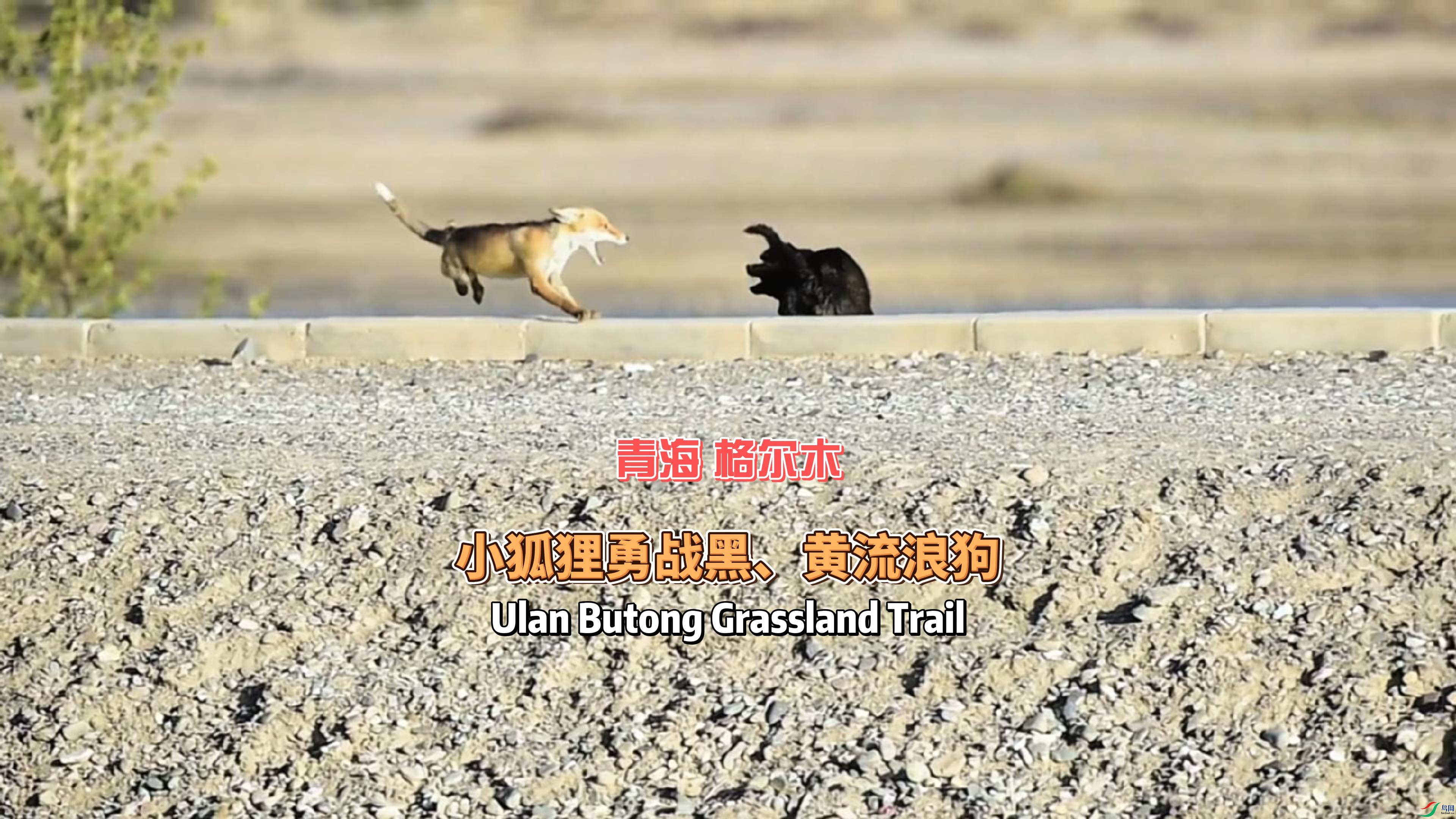 �ຣ ���ľ С������ս�ڡ������˹�-����.jpg