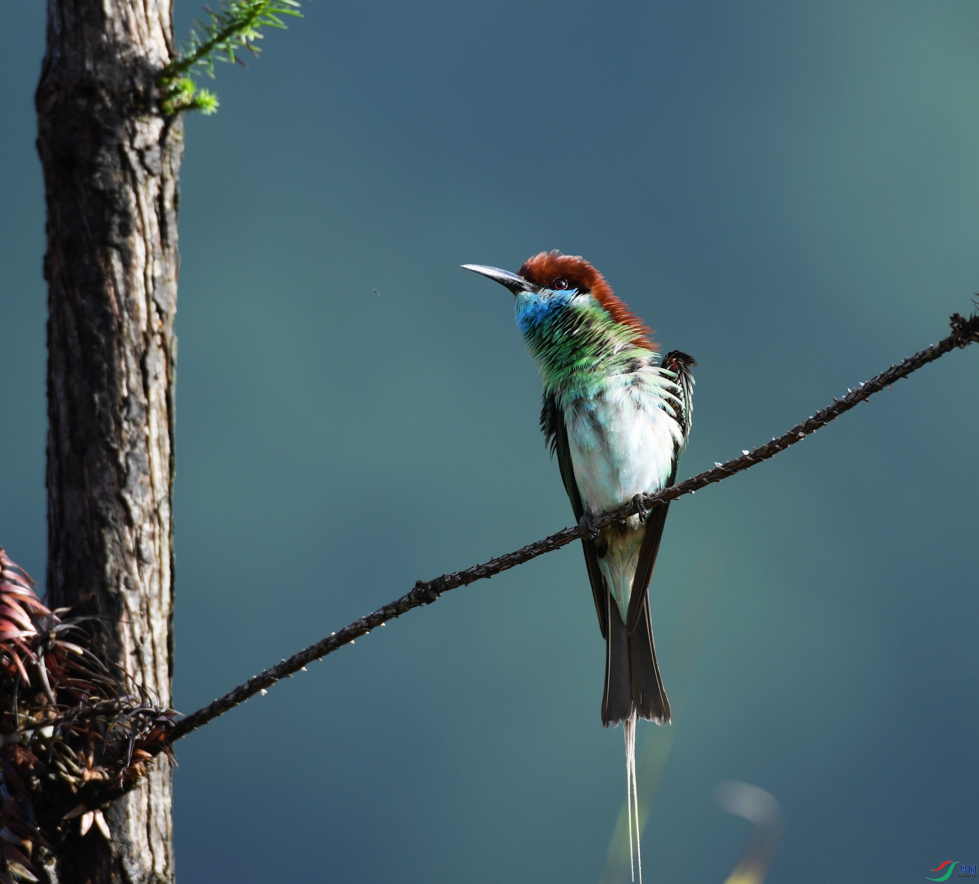 DSC_9495.jpg