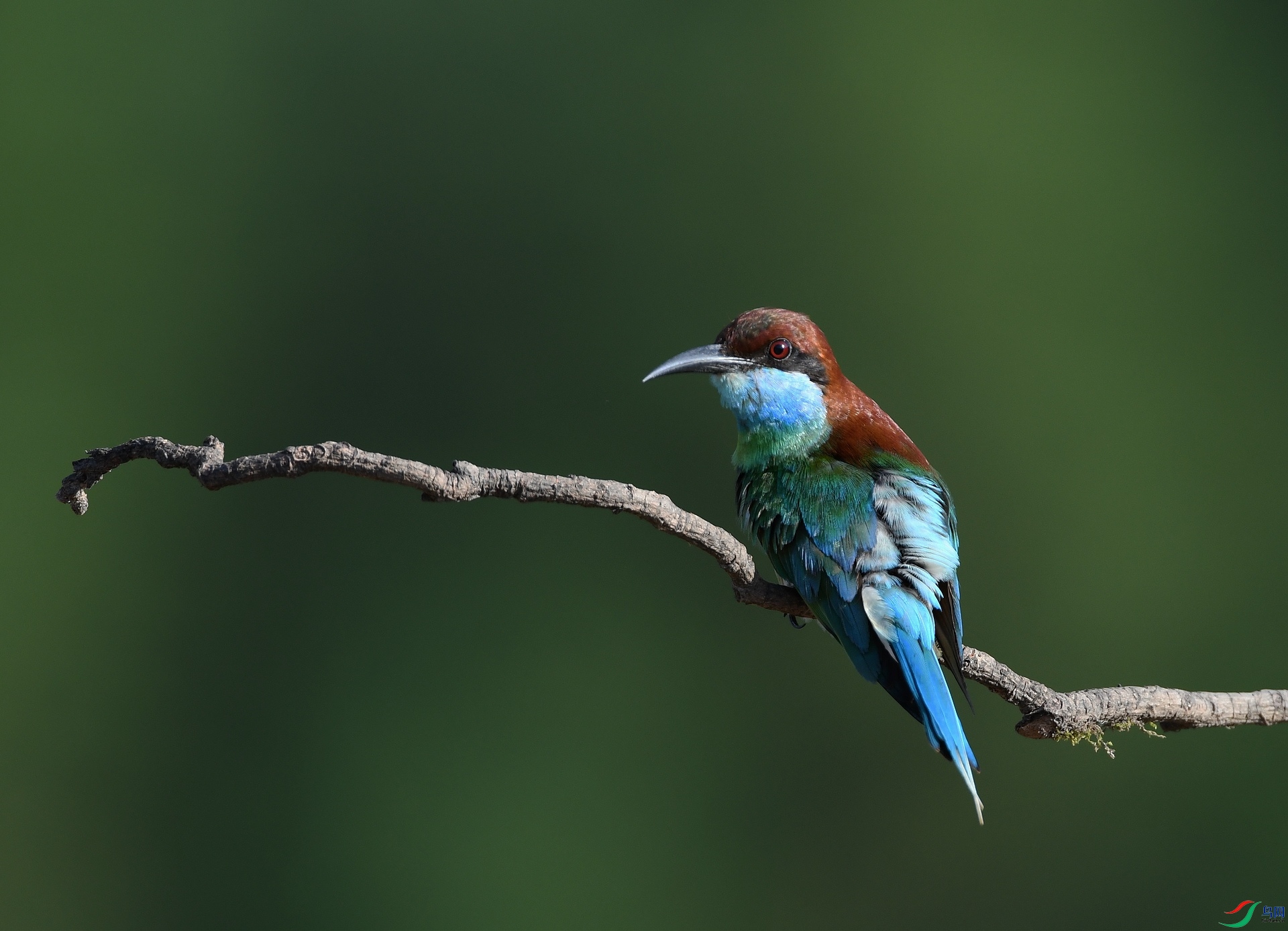 DSC_4360.jpg