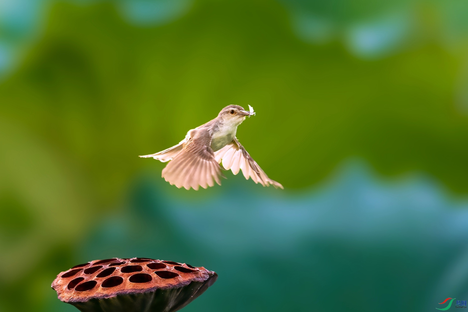 _15A0803-1_����.jpg