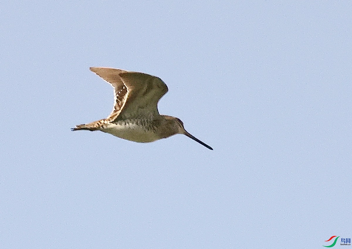 3A4697ɳ׶-25.JPG