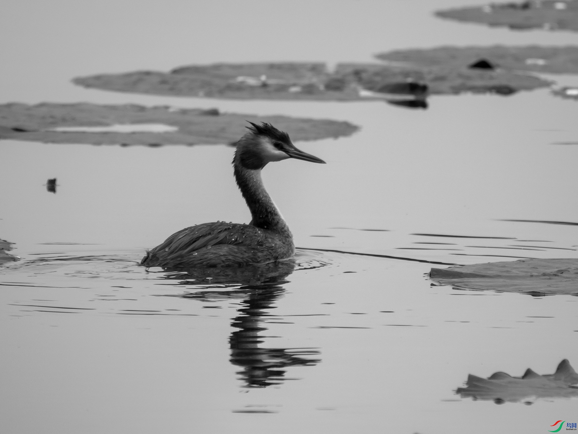P9191966.jpg