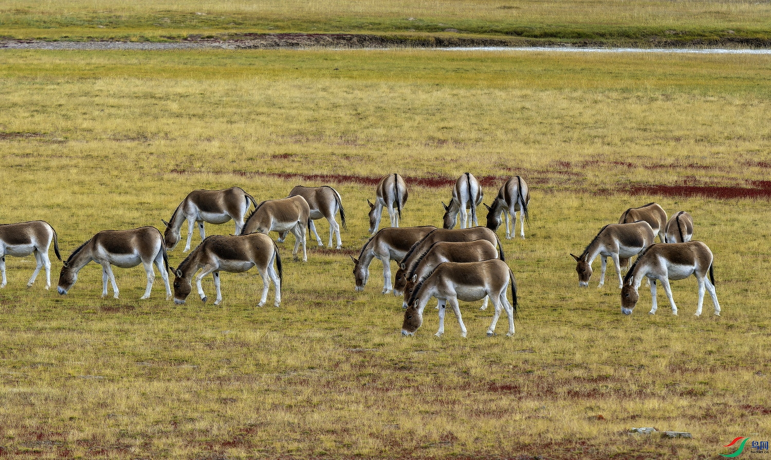 ��Ұ¿ (14)-01.jpg