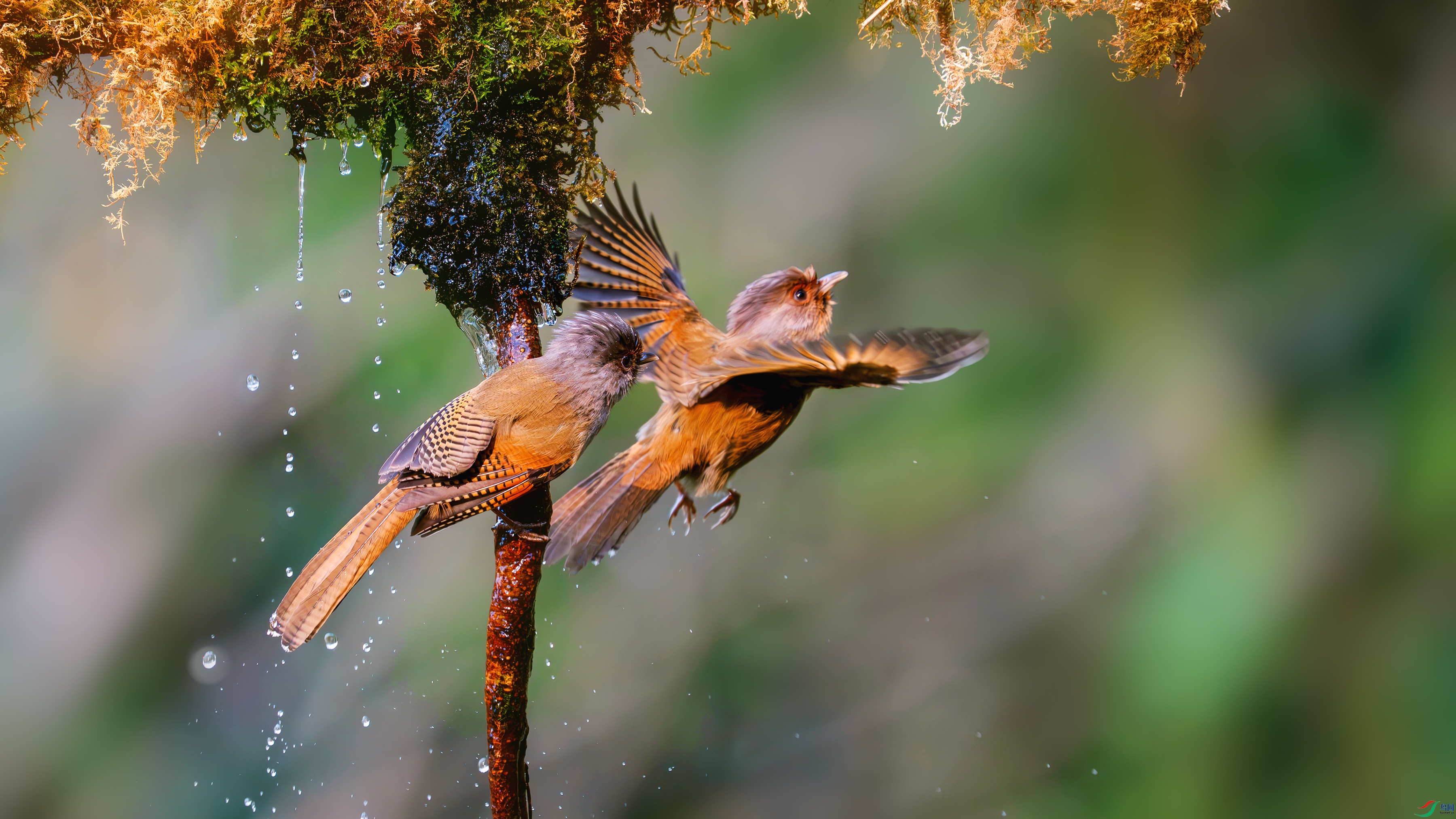 _DSC2140 ����.jpg