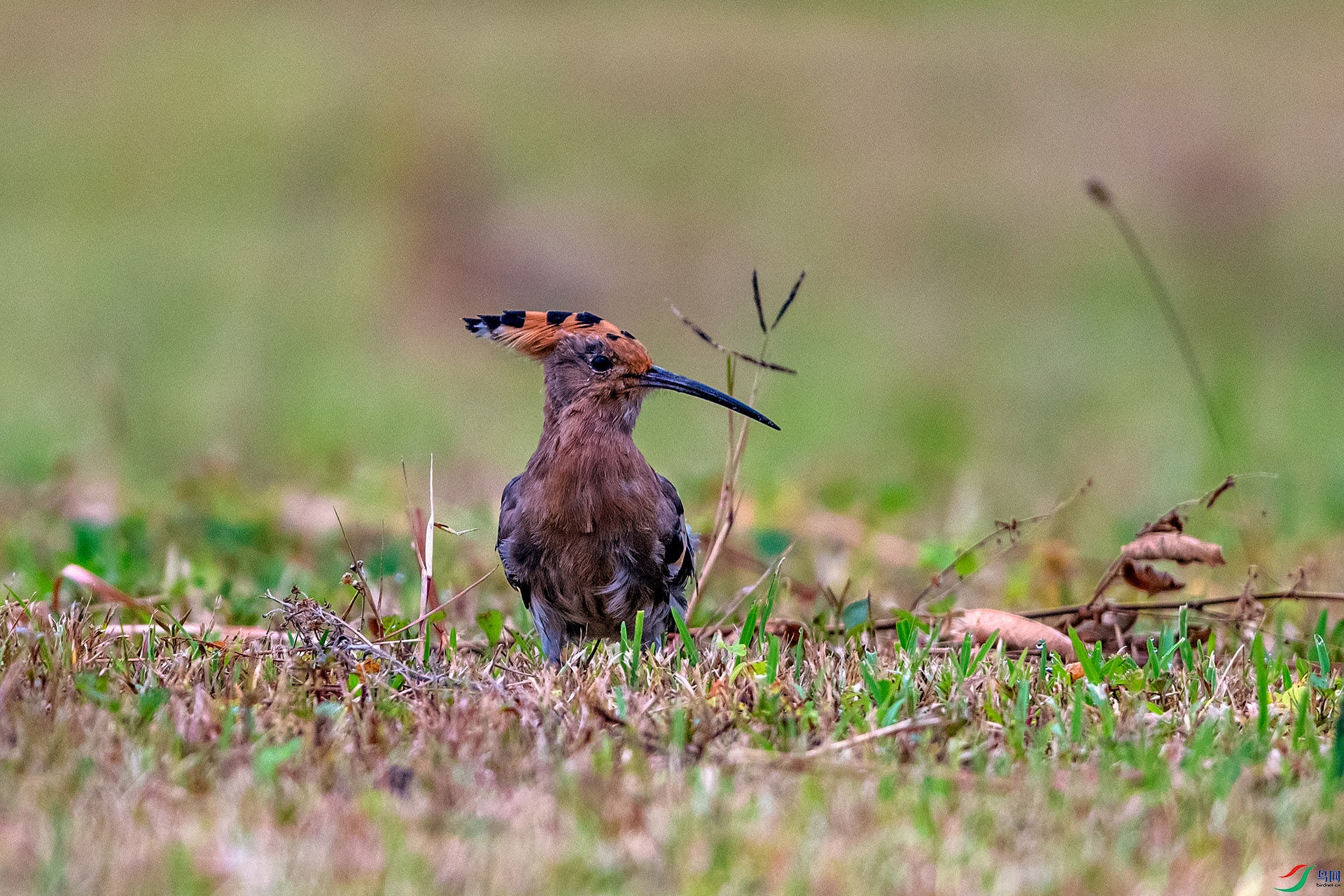 _AUU0114 ��ʤ(25.9.22).jpg