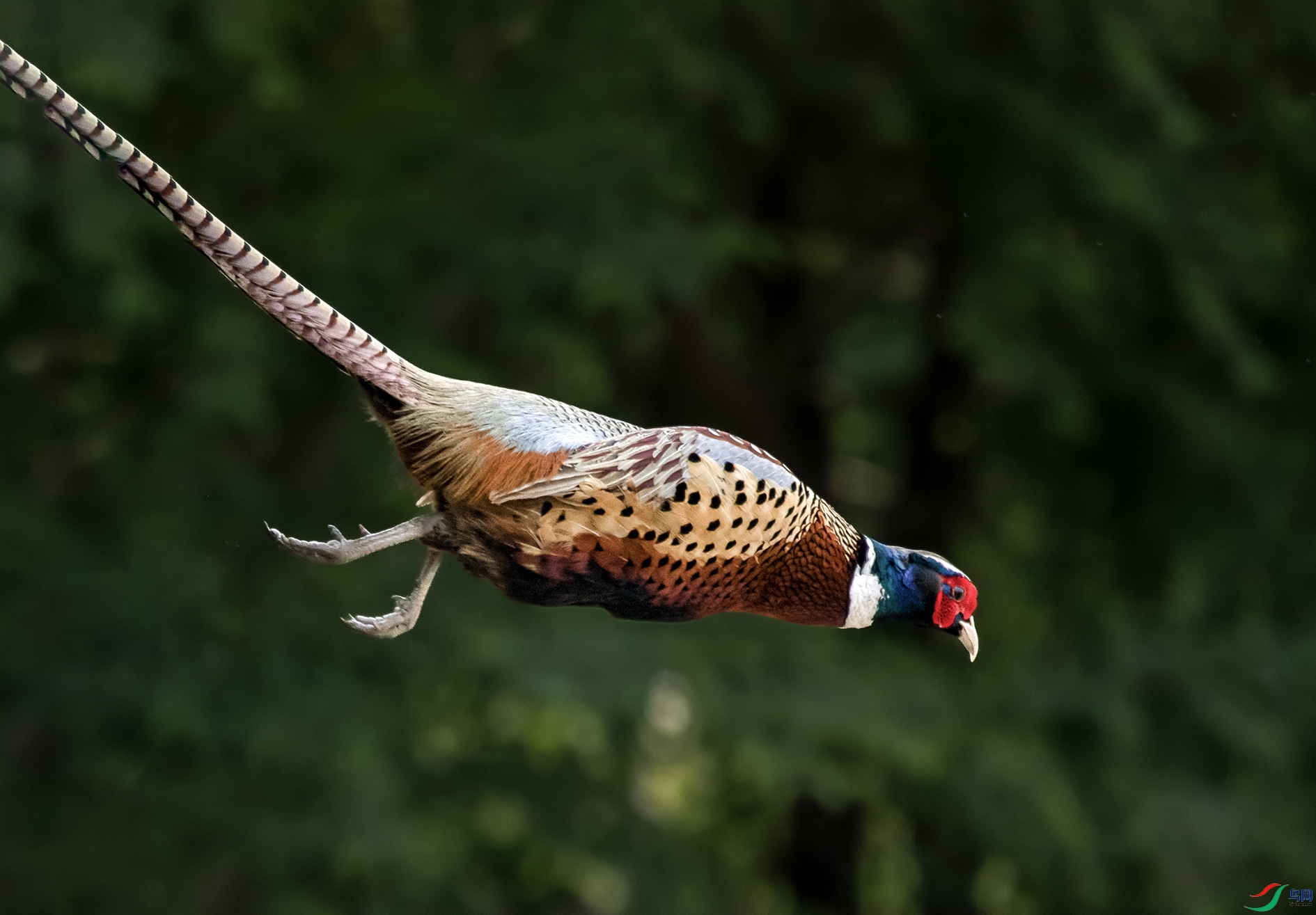 DSC_3128_��ͼ�� ���� 2.jpg
