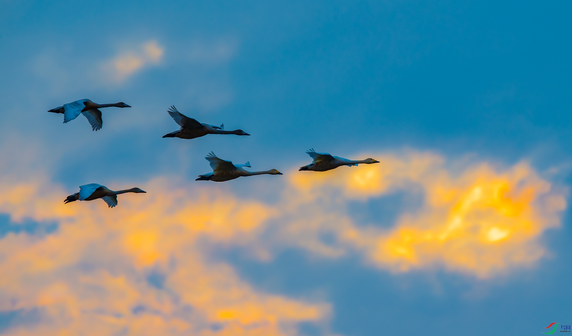 DSC_С��� - ����.jpg