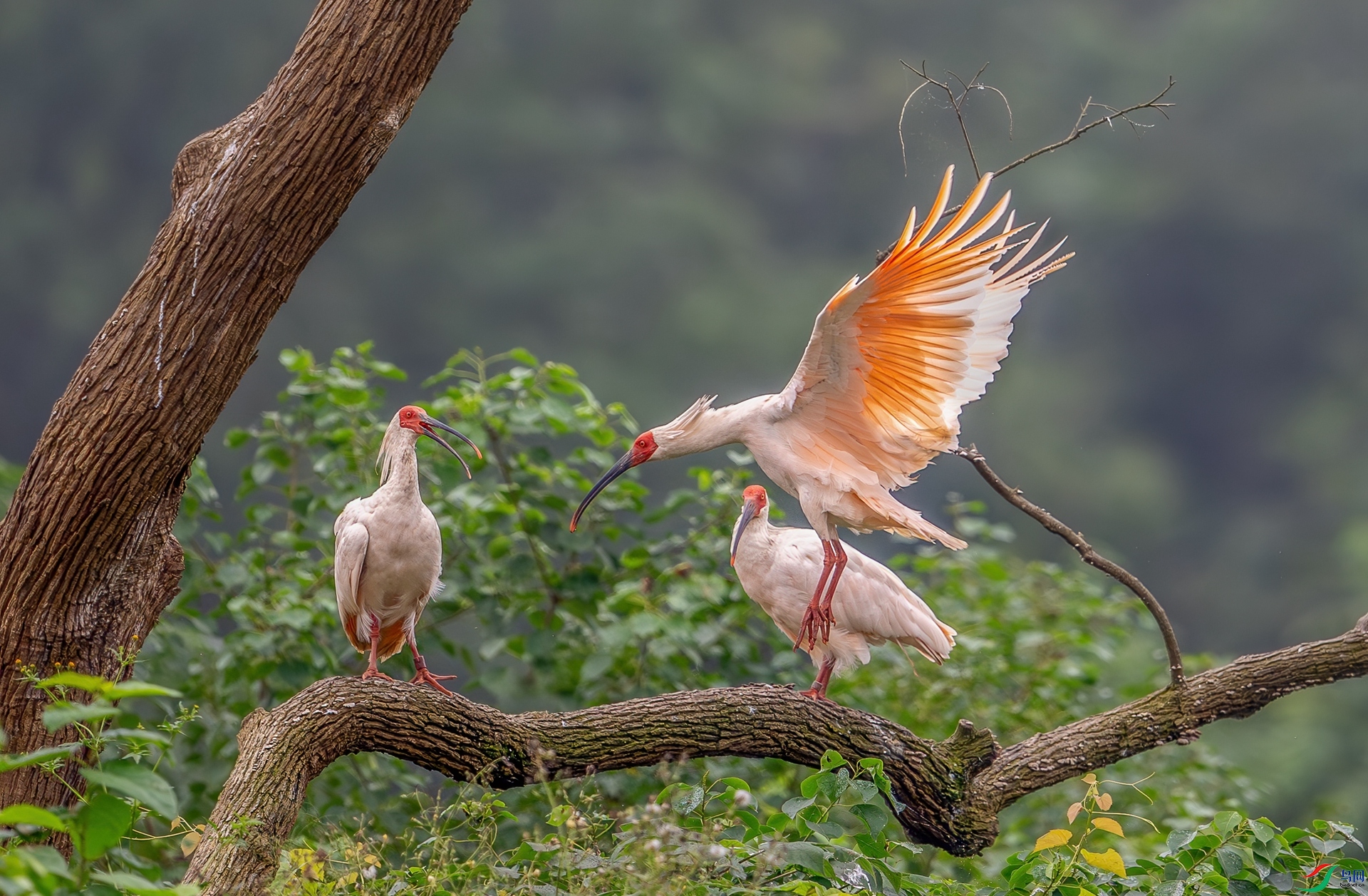 DSC_7117_1.jpg