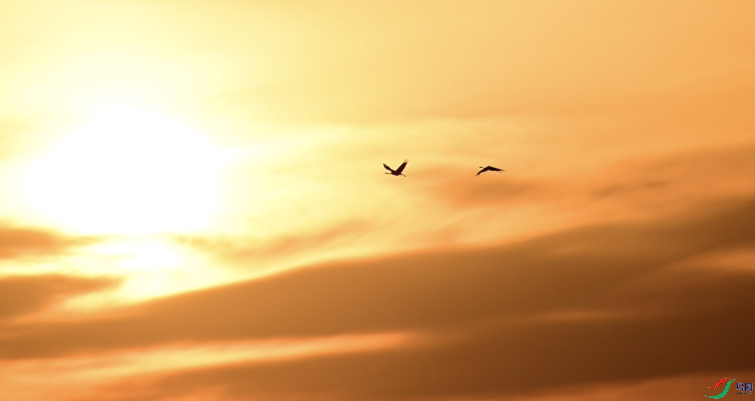 a3ef7fd6e02264954f564489ef262649����.jpg