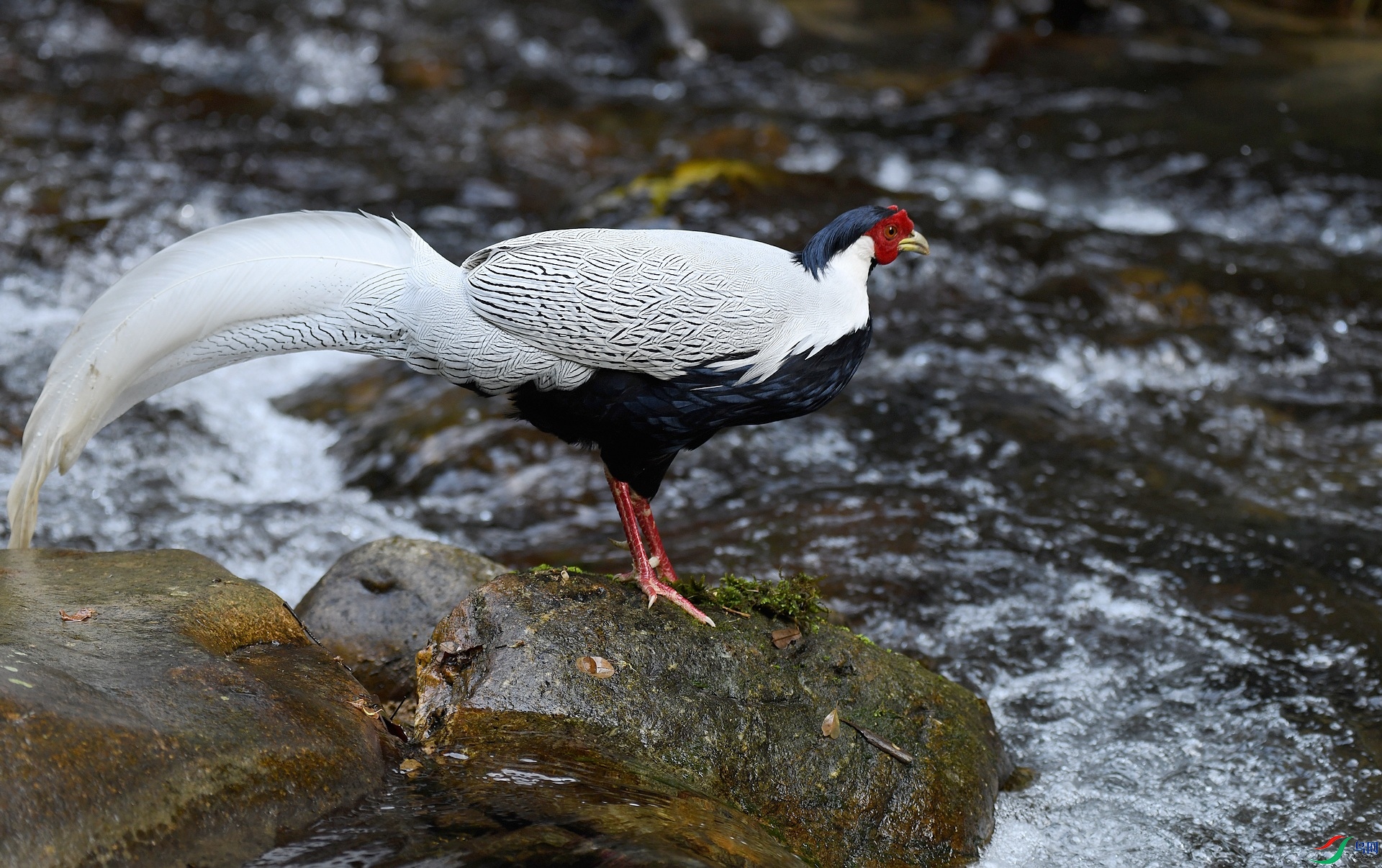 DSC_3787.jpg