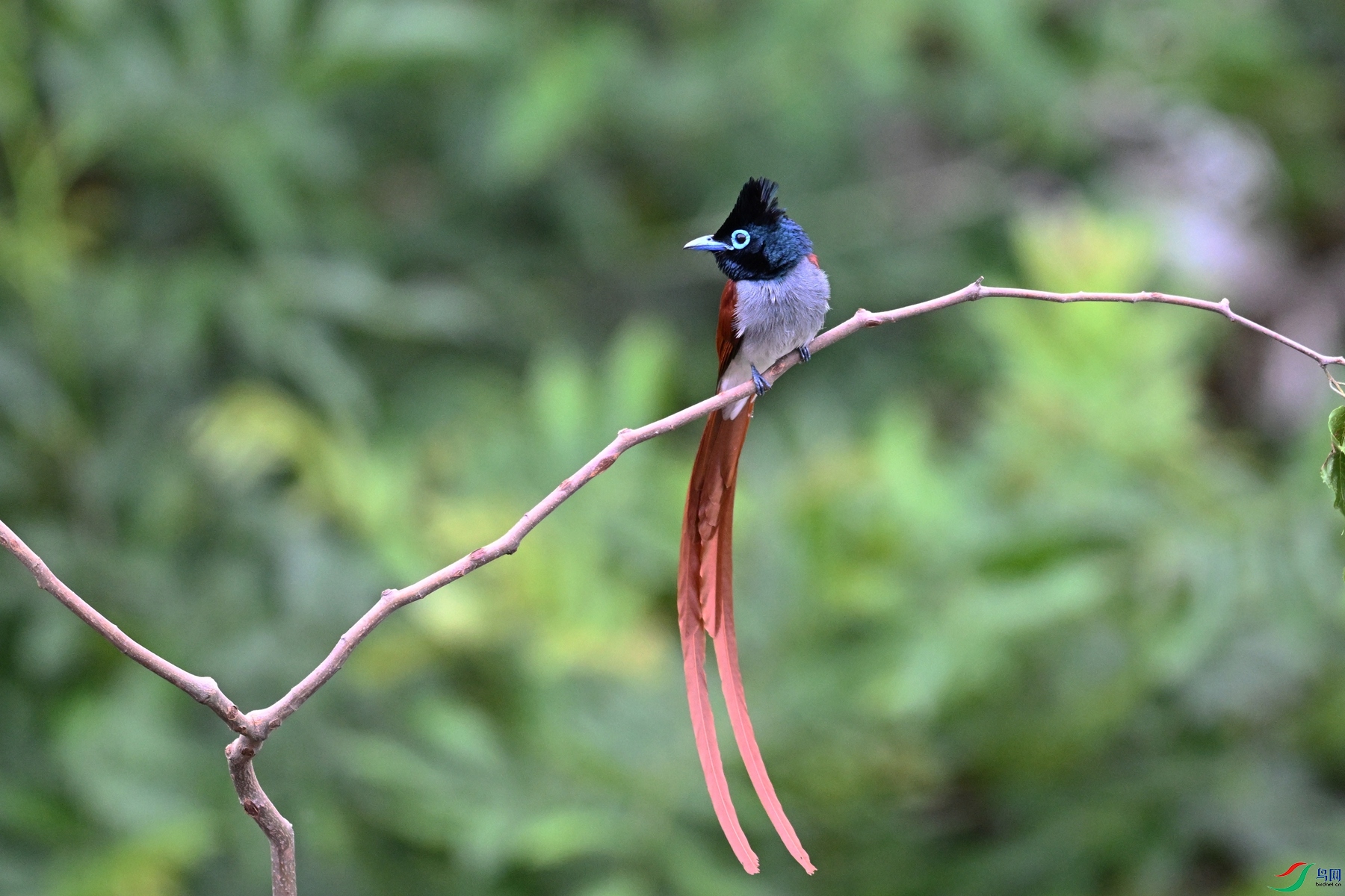 DSC_6308.JPG