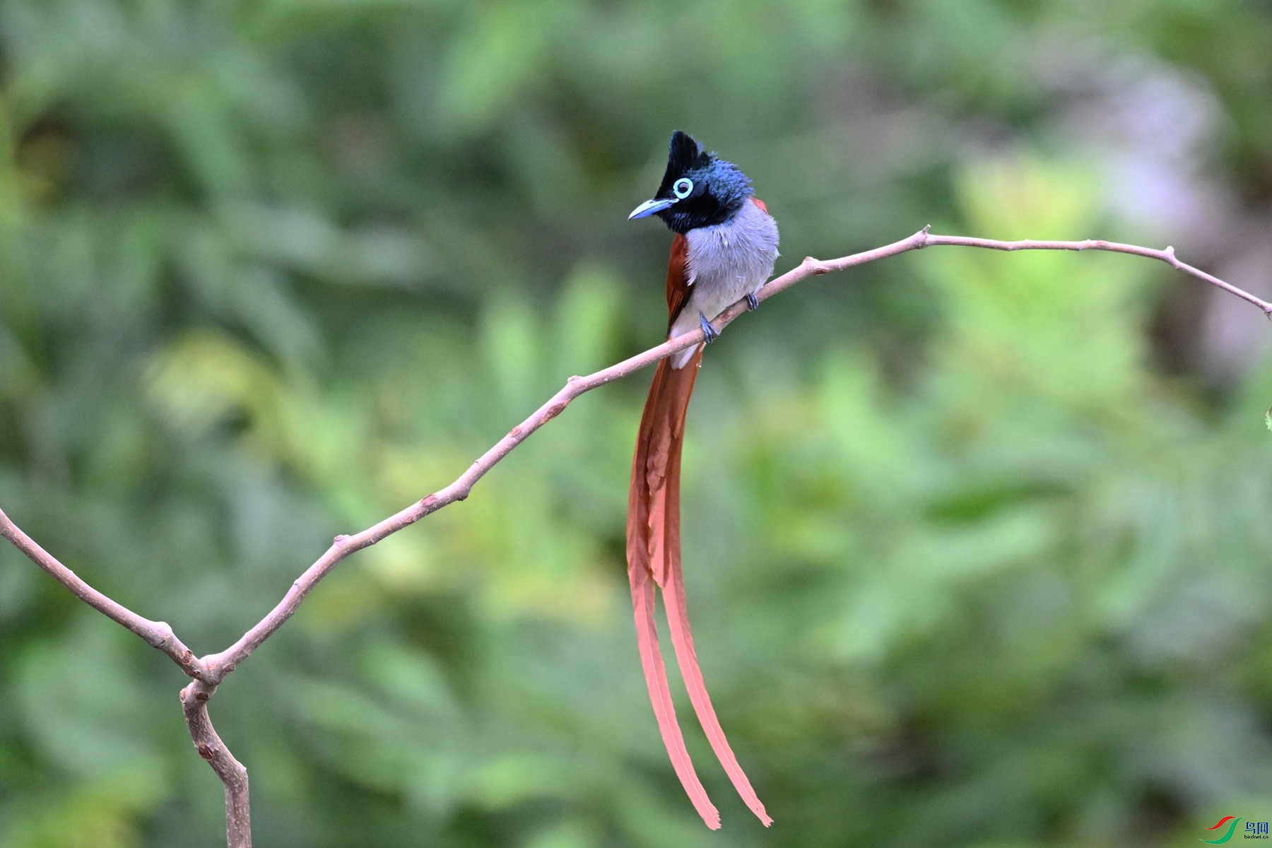 DSC_6310.JPG