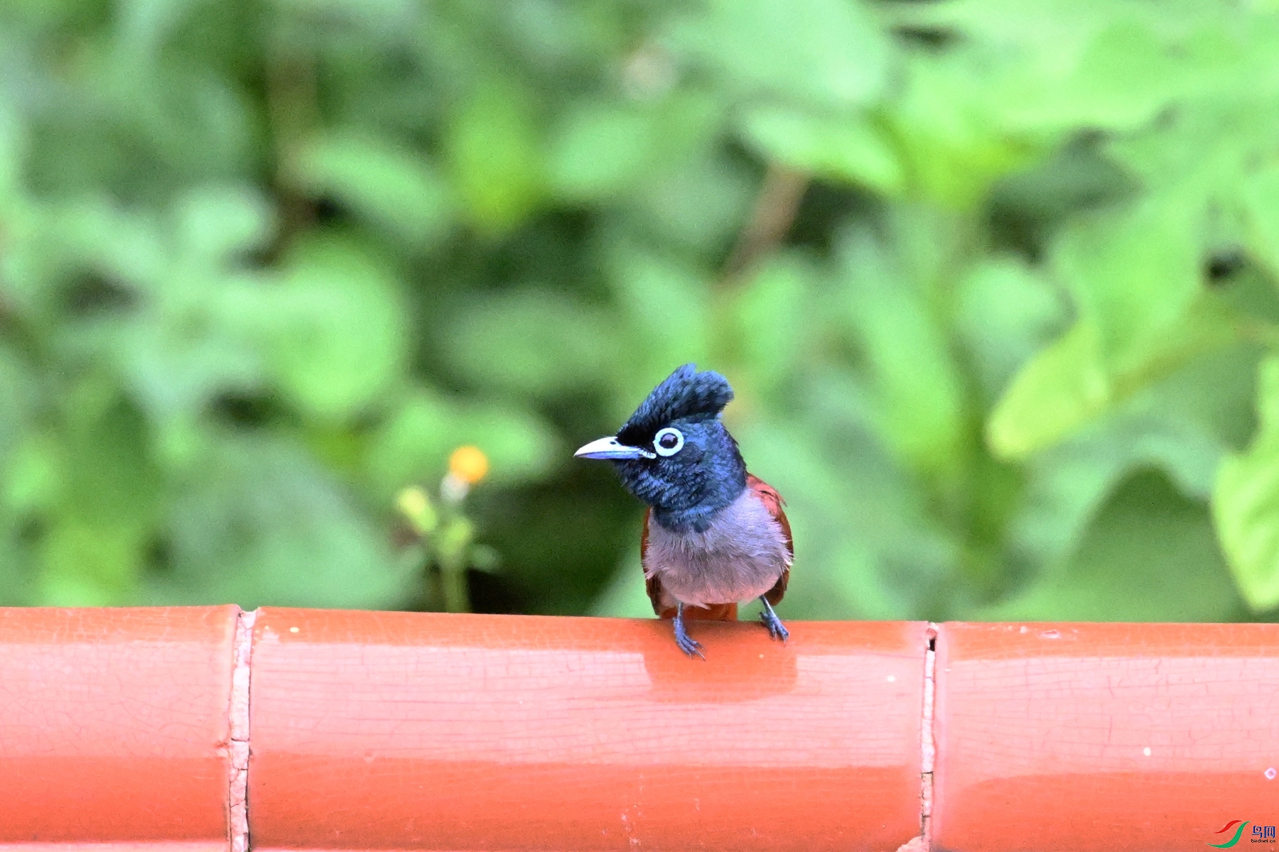 DSC_6373.JPG