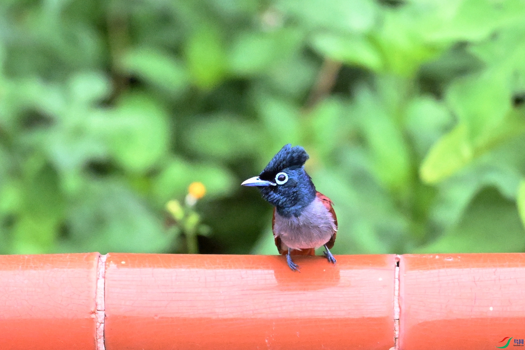 DSC_6374.JPG