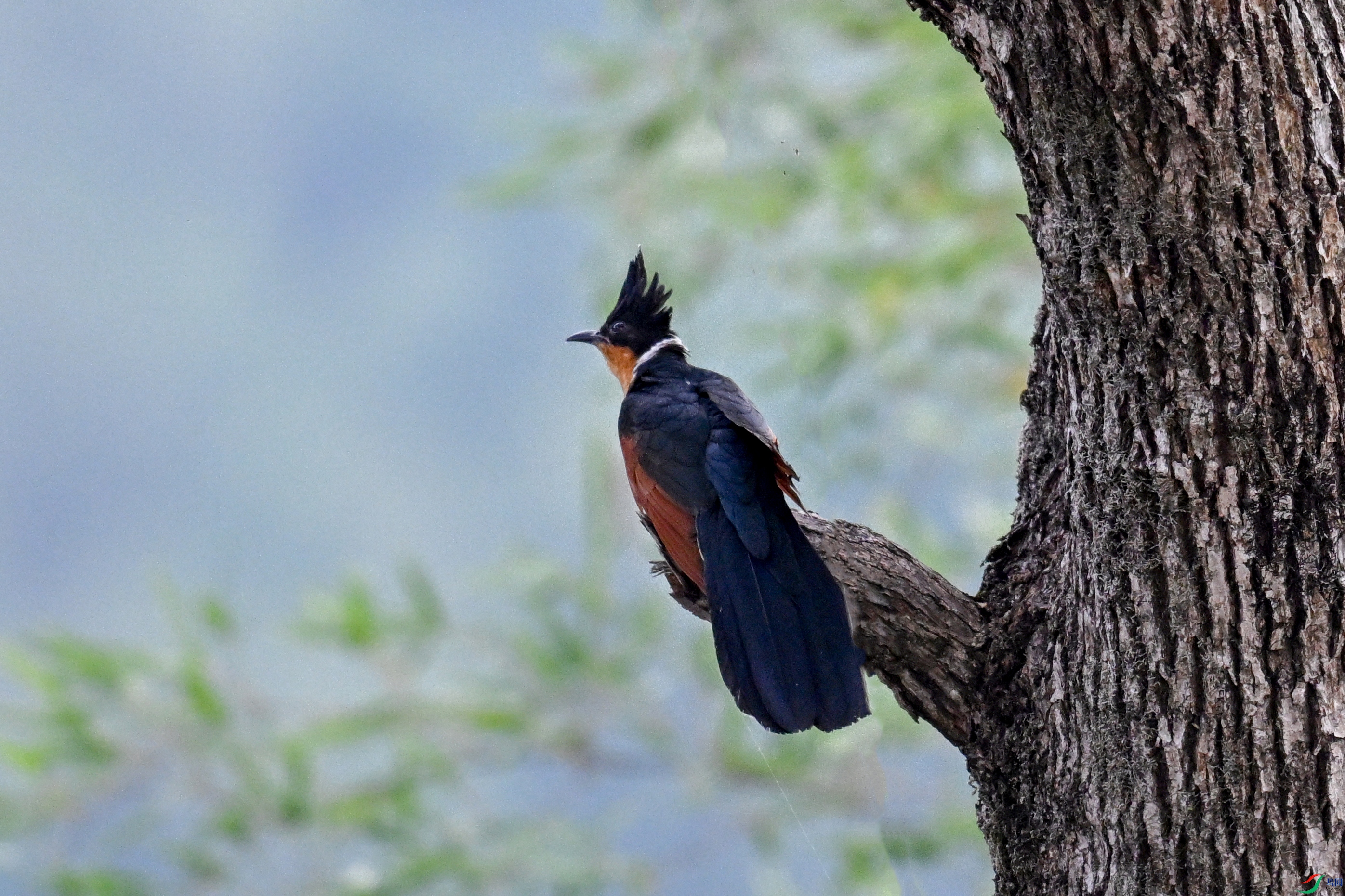 DSC_9253.JPG