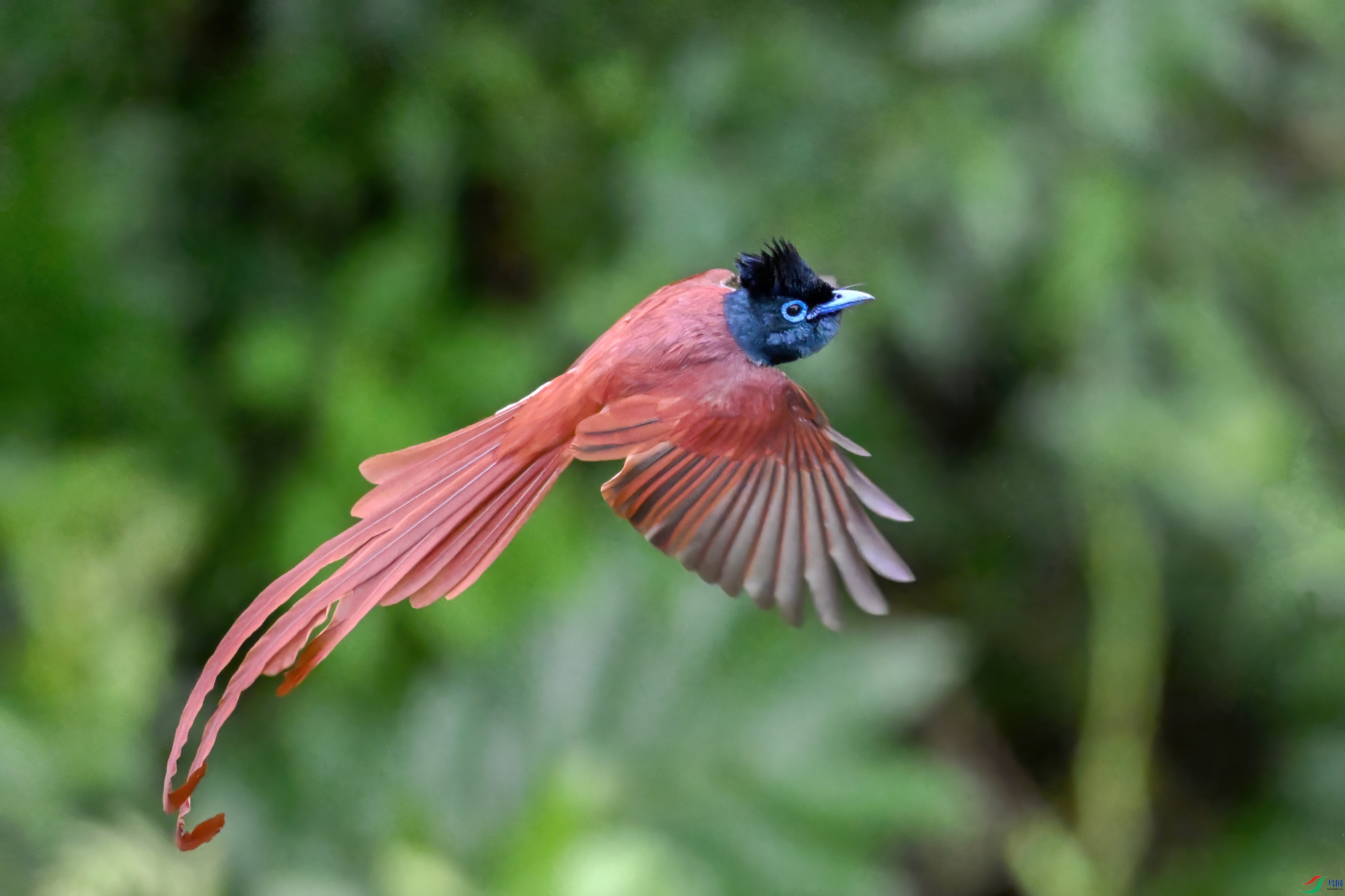 DSC_6351.JPG