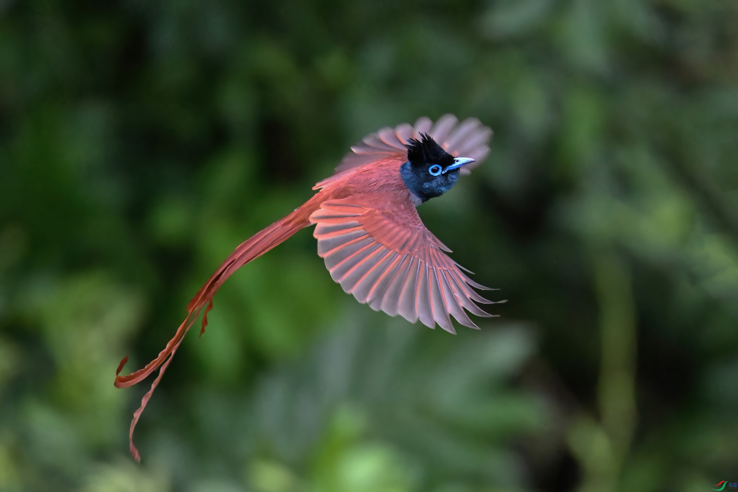 DSC_6352.JPG