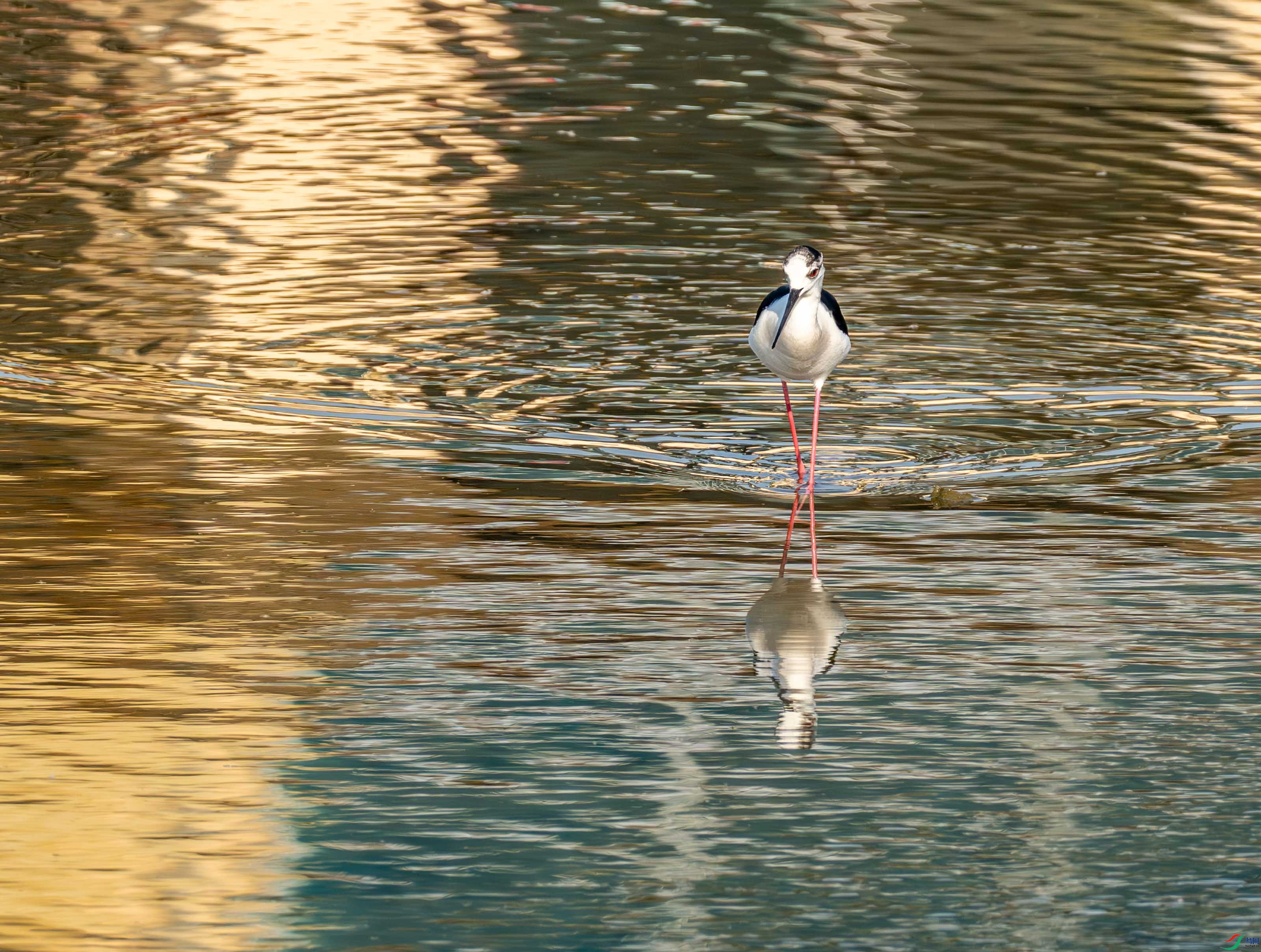 �ڳ᳤���� (10 - 21).jpg