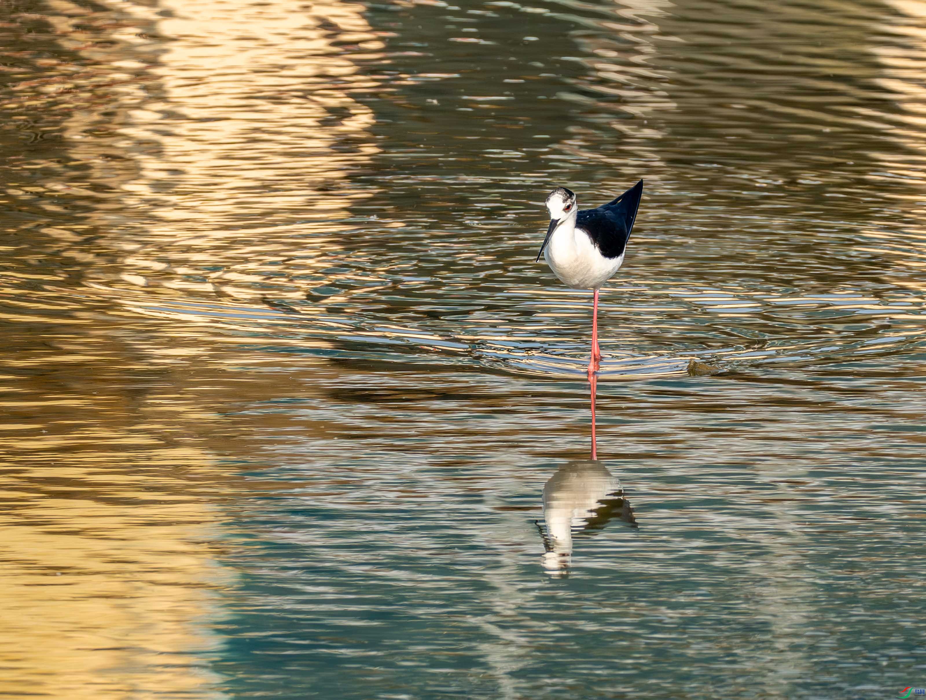 �ڳ᳤���� (11 - 21).jpg