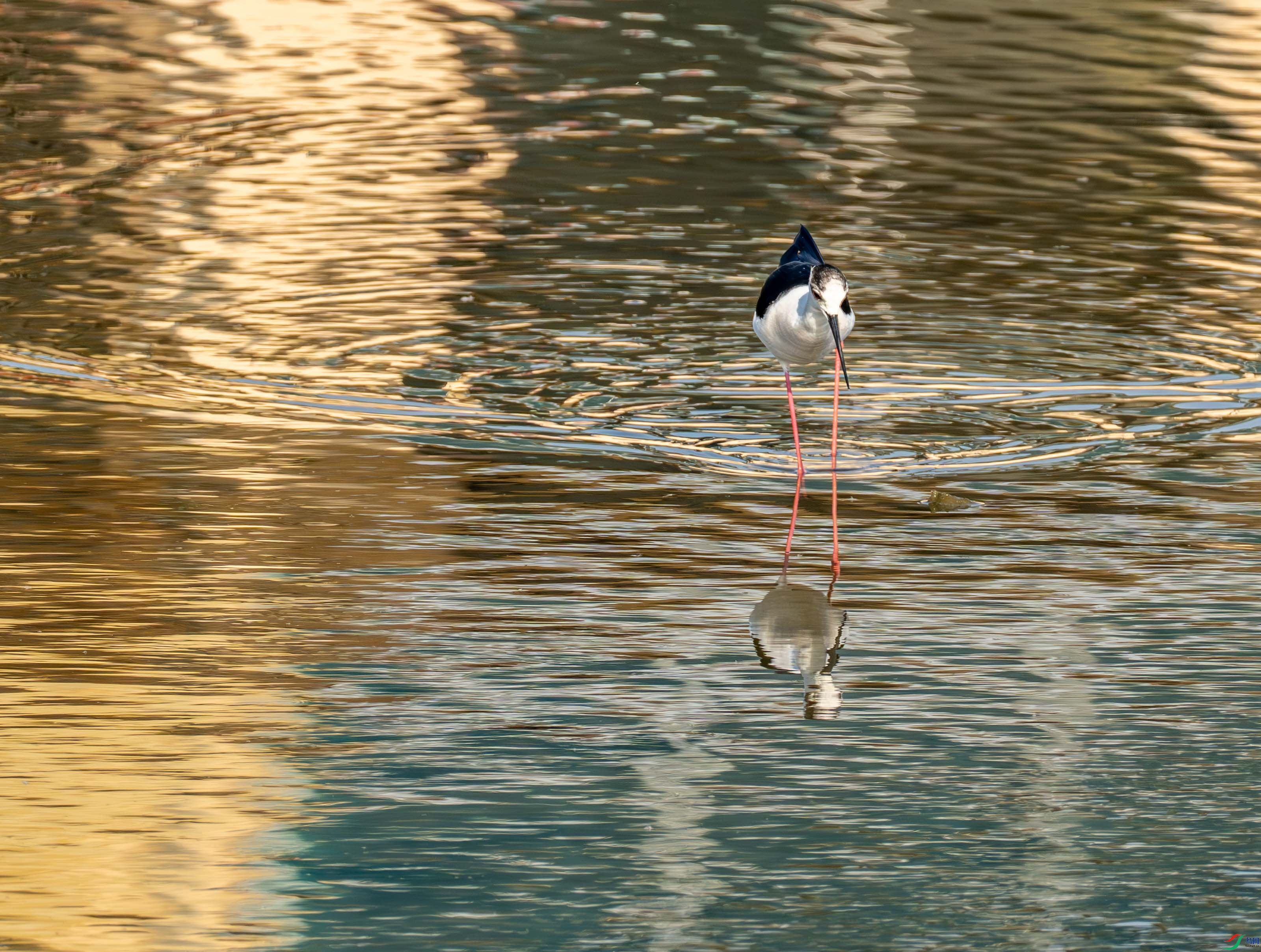 �ڳ᳤���� (9 - 21).jpg