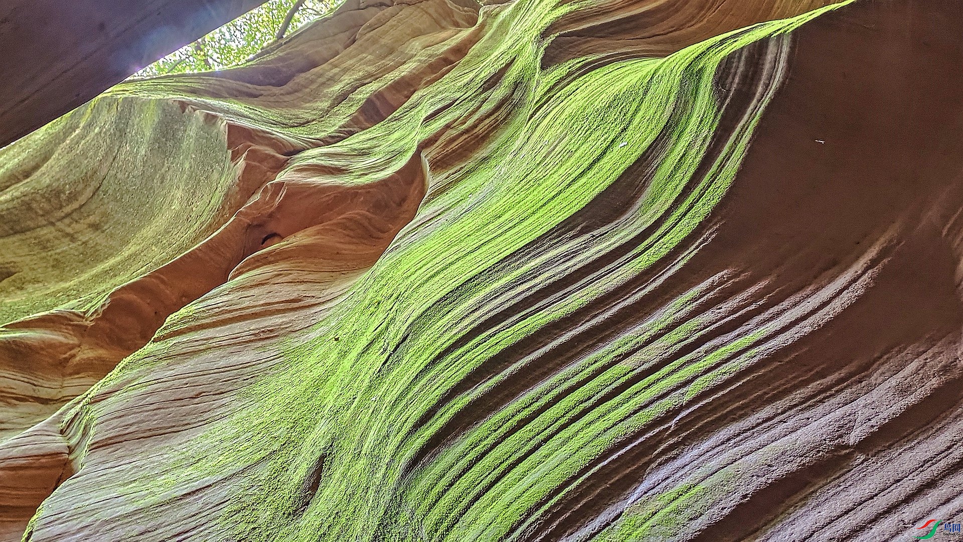 ���͹����� 