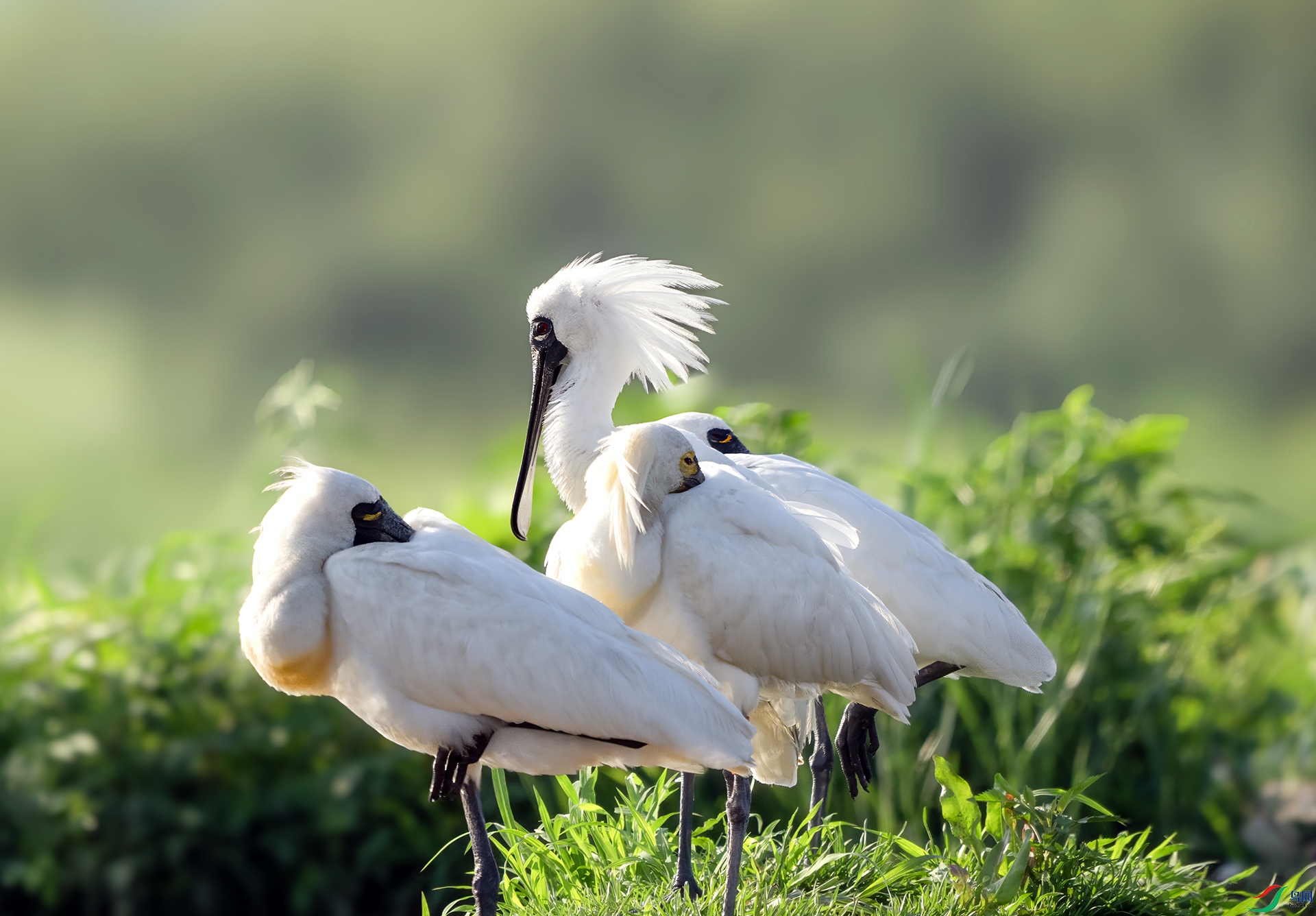 03-DSC00630 ���� 2.jpg