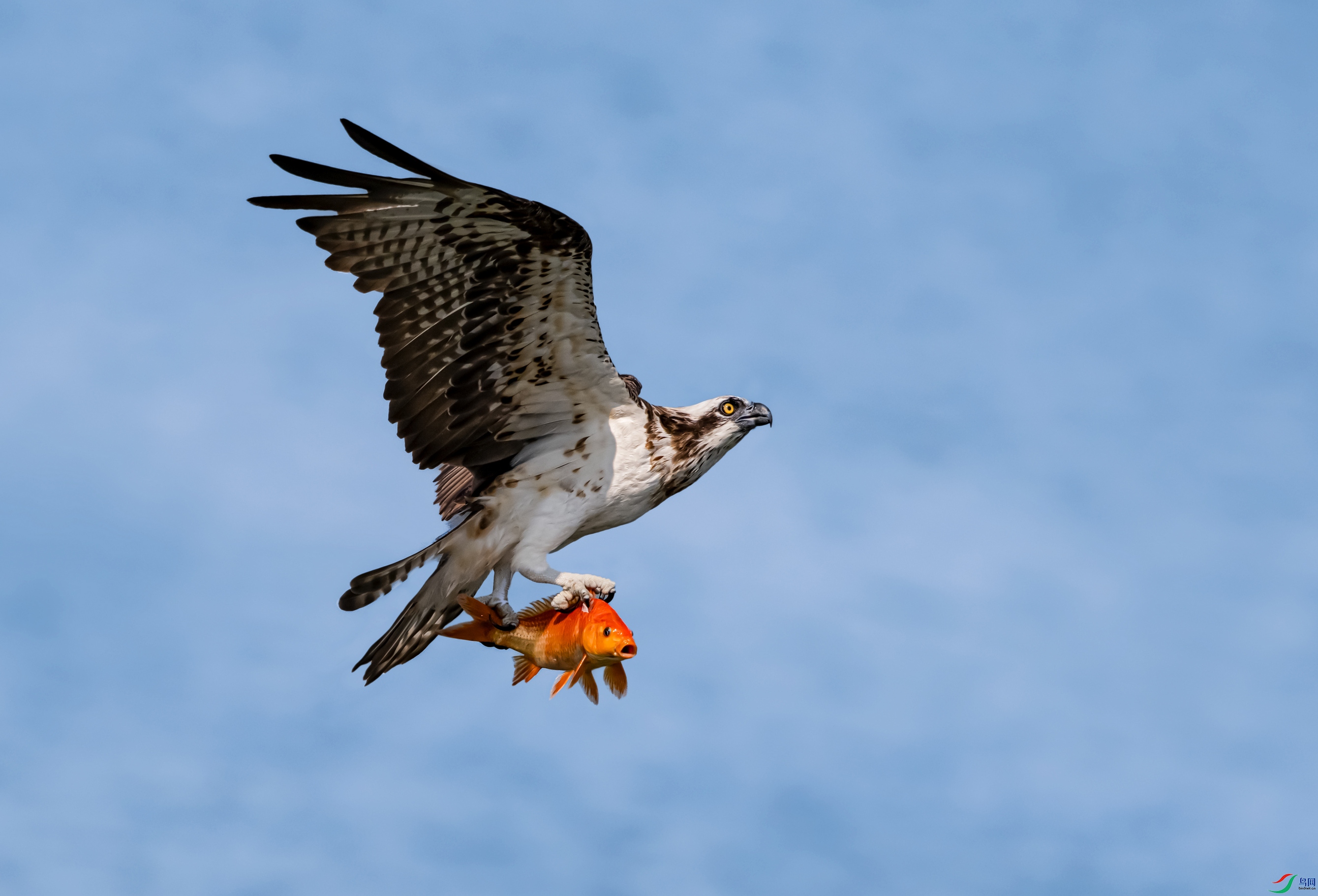 DSC_7179.jpg
