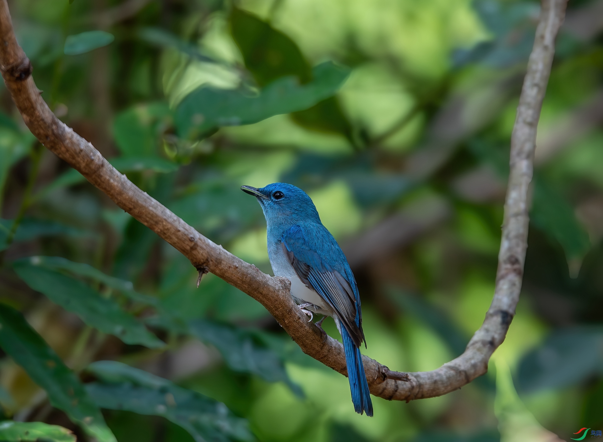 DSC_9343_1.jpg